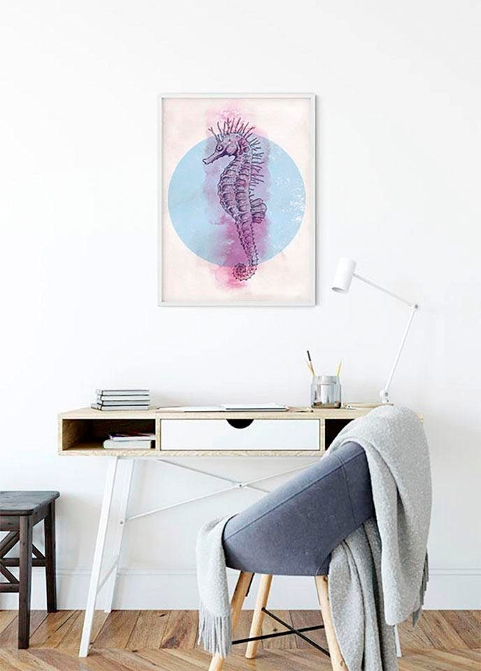 Komar Bild »Sea Horse Circle« Tiere 1 Stk. tlg. Wandbild zur Dekoration - ohne Rahmen