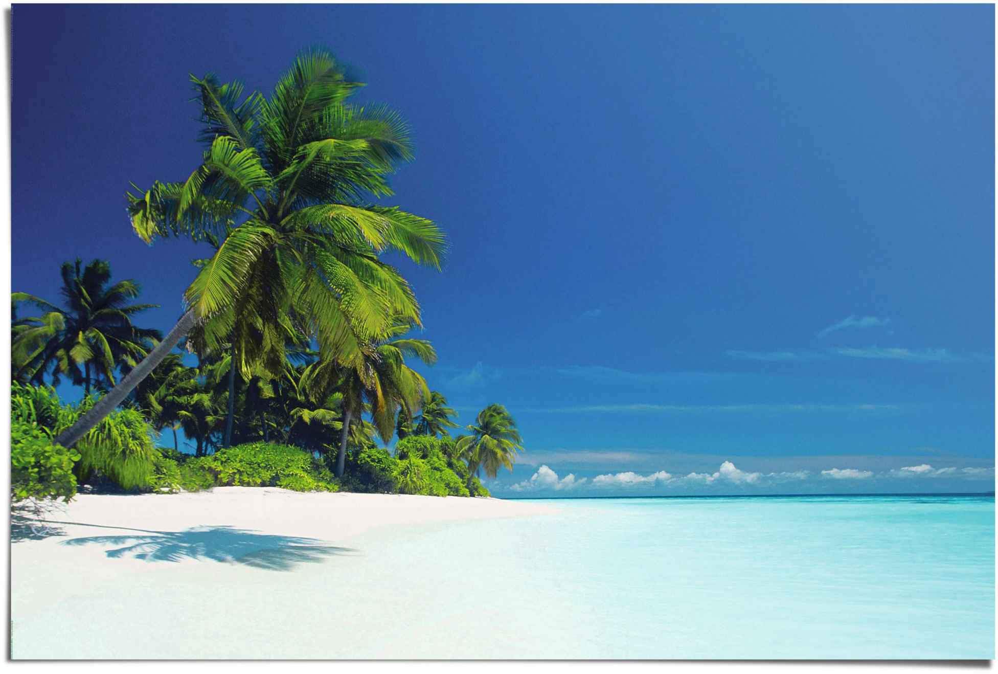 Image of Reinders! Poster »Palmenstrand«, (1 St.) bei Ackermann Versand Schweiz