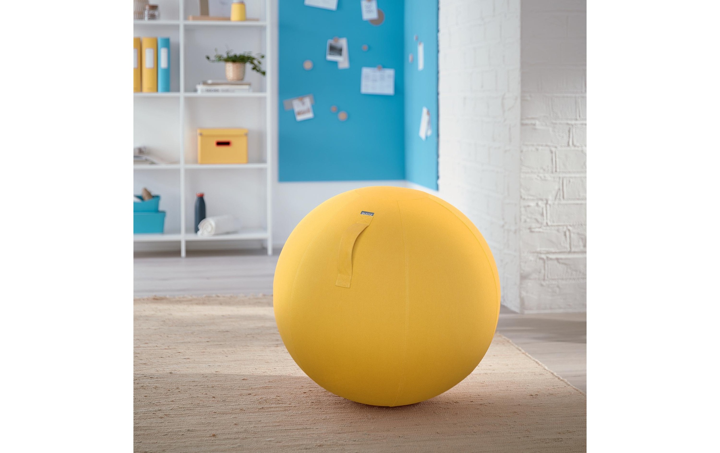 LEITZ Sitzball »Ergo Cosy«