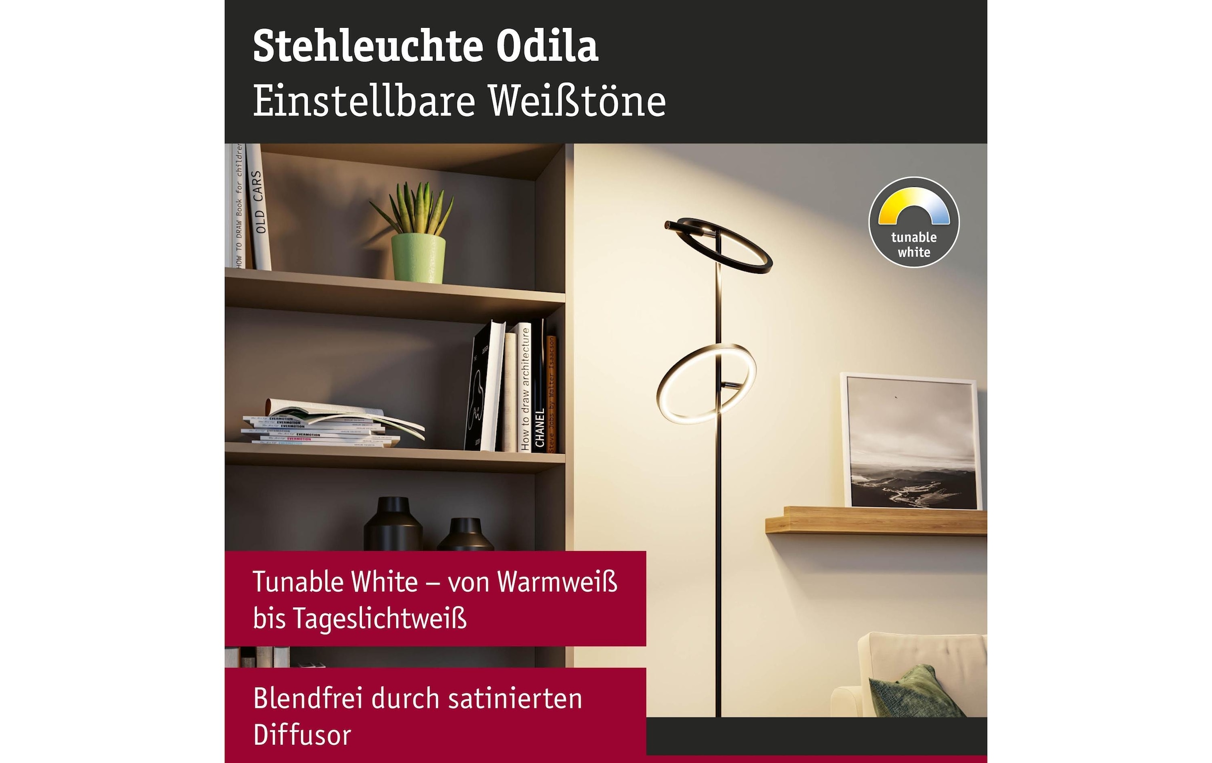 Paulmann Deckenleuchte »Stehleuchte Odila, Schwarz matt« LED-Modul warmweiss - kaltweiss