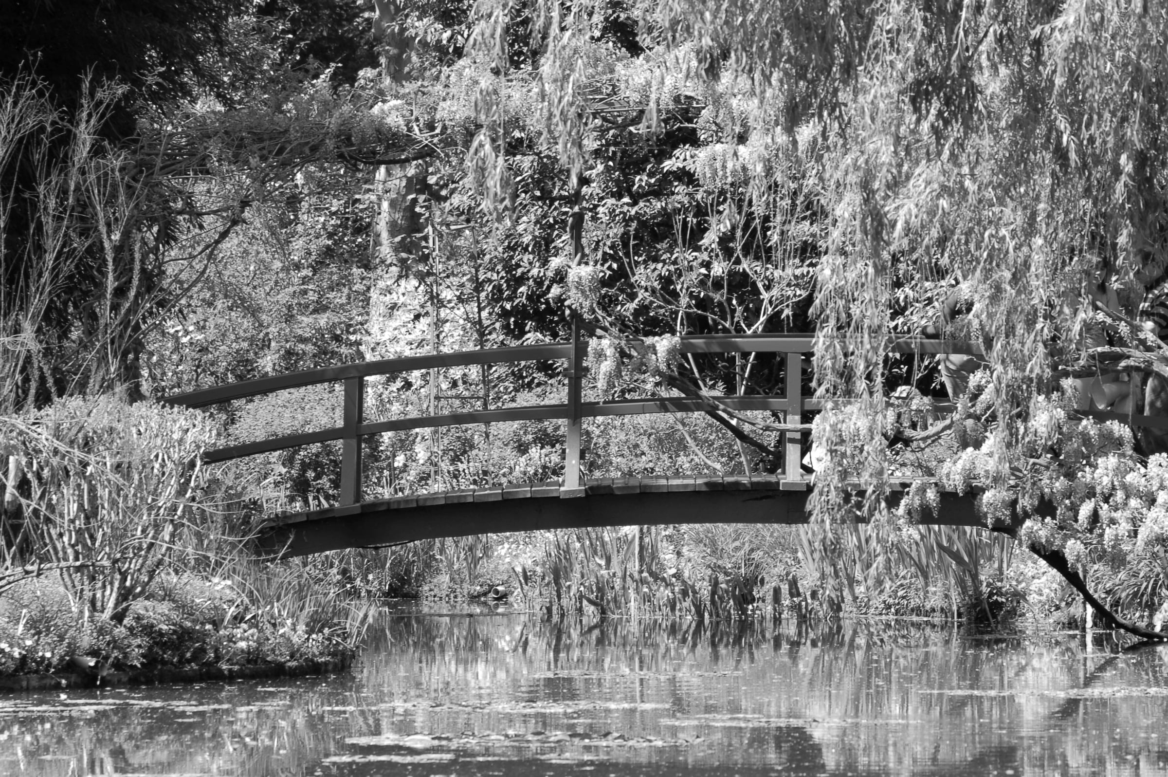 Image of Papermoon Fototapete "Garten Schwarz & Weiss"