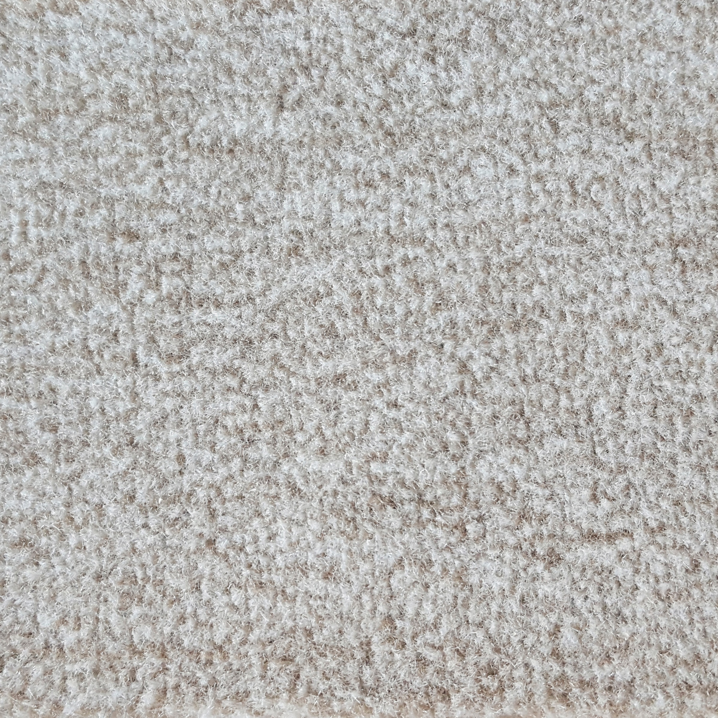 Image of Andiamo Teppichboden »Steven beige«, rechteckig, 8 mm Höhe, Meterware, Breite 500 cm, Velours, Uni Farben, strapazierfähig, schallschluckend, Wohnzimmer bei Ackermann Versand Schweiz