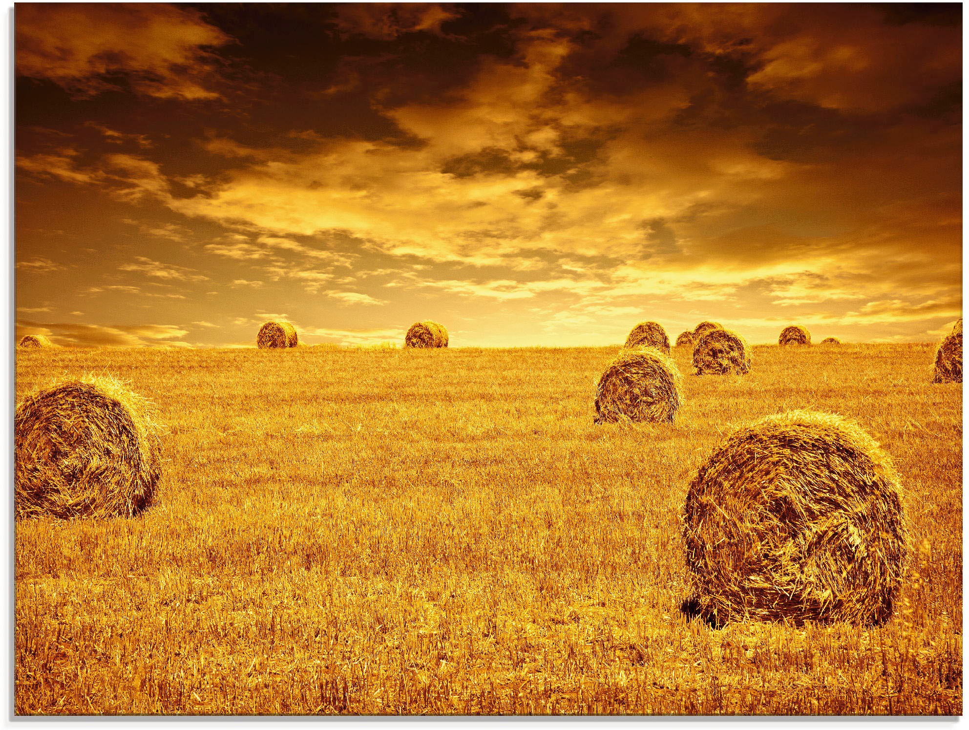 Image of Artland Glasbild »Erntezeit«, Vier Jahreszeiten, (1 St.) bei Ackermann Versand Schweiz