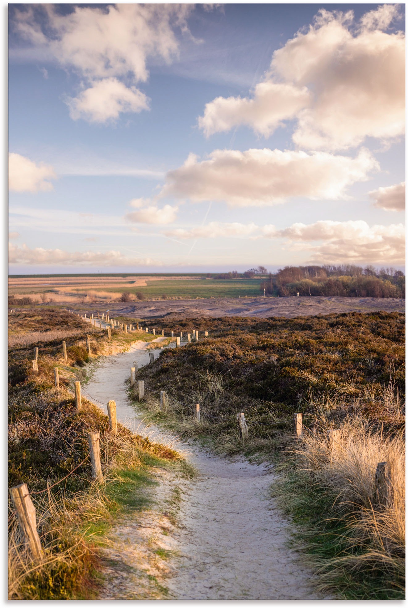 Image of Artland Wandbild »Weg durch Naturschutzgebiet Morsum-Kliff«, Felder, (1 St.), in vielen Grössen & Produktarten - Alubild / Outdoorbild für den Aussenbereich, Leinwandbild, Poster, Wandaufkleber / Wandtattoo auch für Badezimmer geeignet bei Ackermann Versa