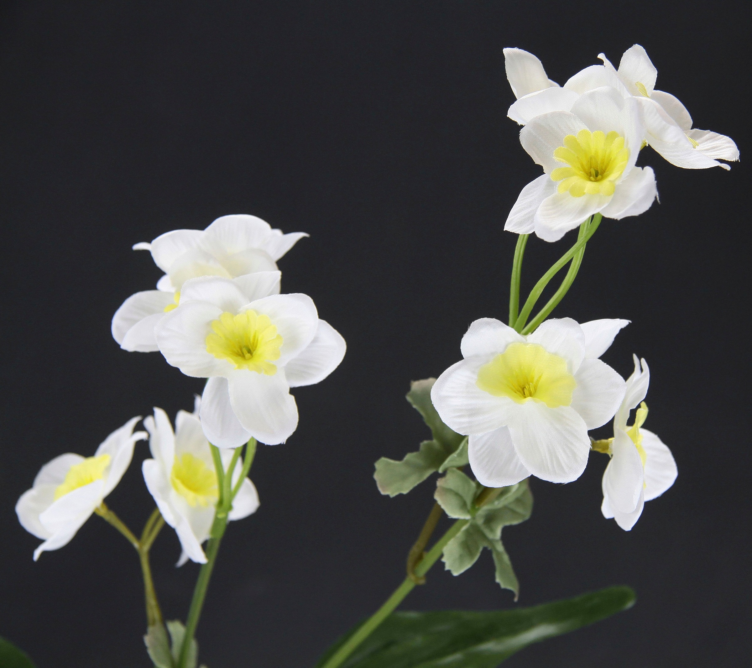 I.GE.A. Kunstblume »Narzissenzweig«, 5er Set Narzisse künstliche Blume Ostern Seidenblume Frühjahrsdeko
