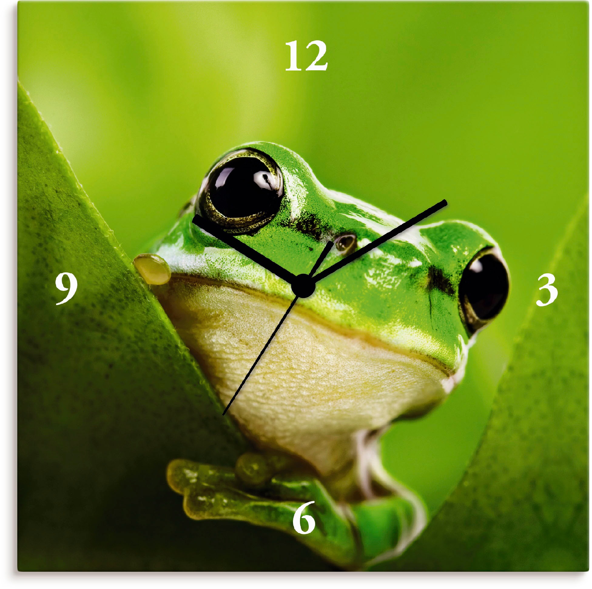 Image of Artland Wanduhr »Ausspähender Frosch«, lautlos, ohne Tickgeräusche, nicht tickend, geräuschlos - wählbar: Funkuhr o. Quarzuhr, moderne Uhr für Wohnzimmer, Küche etc. - Stil: modern bei Ackermann Versand Schweiz