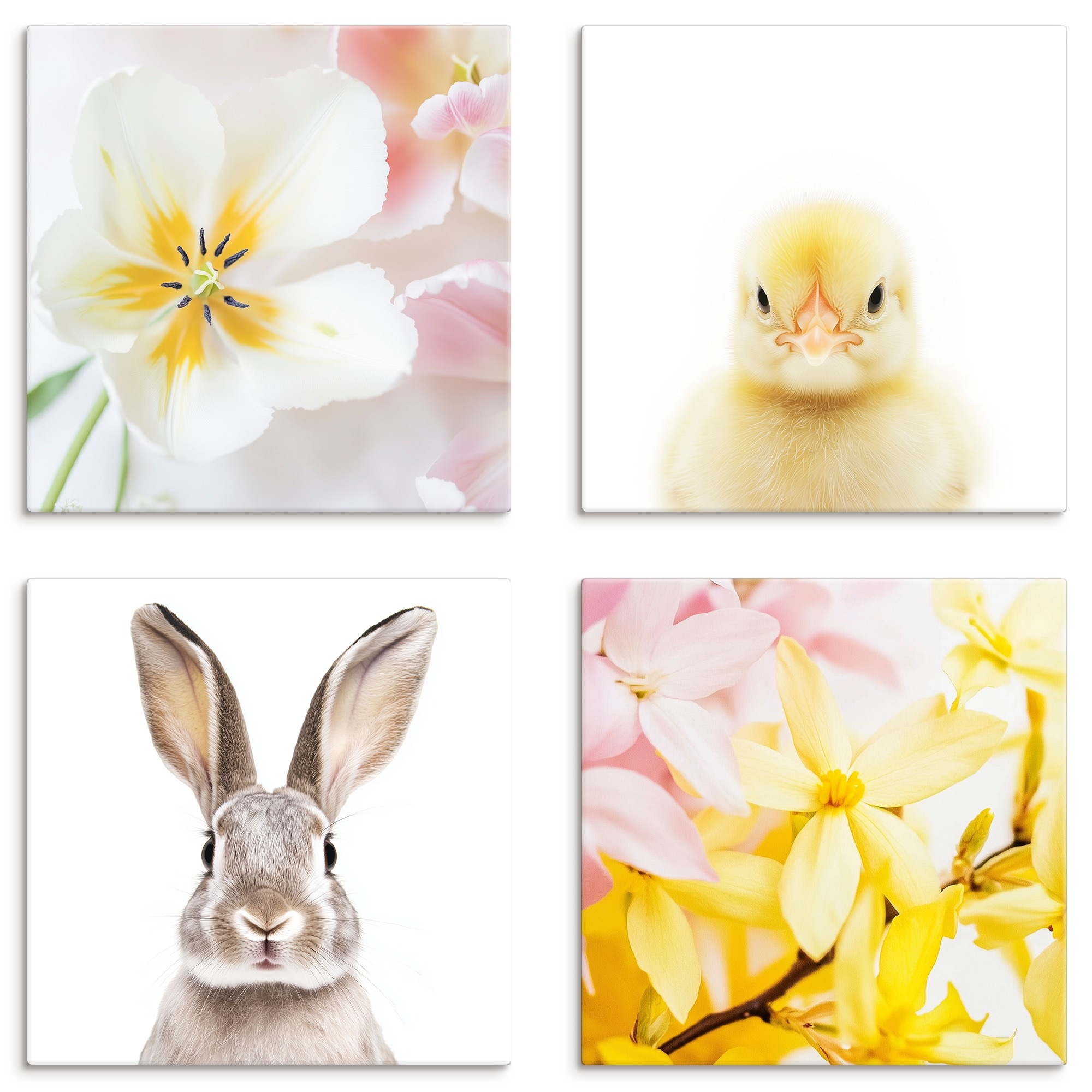 Image of Artland Leinwandbild "Ostergrüsse" Blumen Flower Küken Ostern Set, 4 Stk. tlg. in verschiedenen Grössen erhältlich