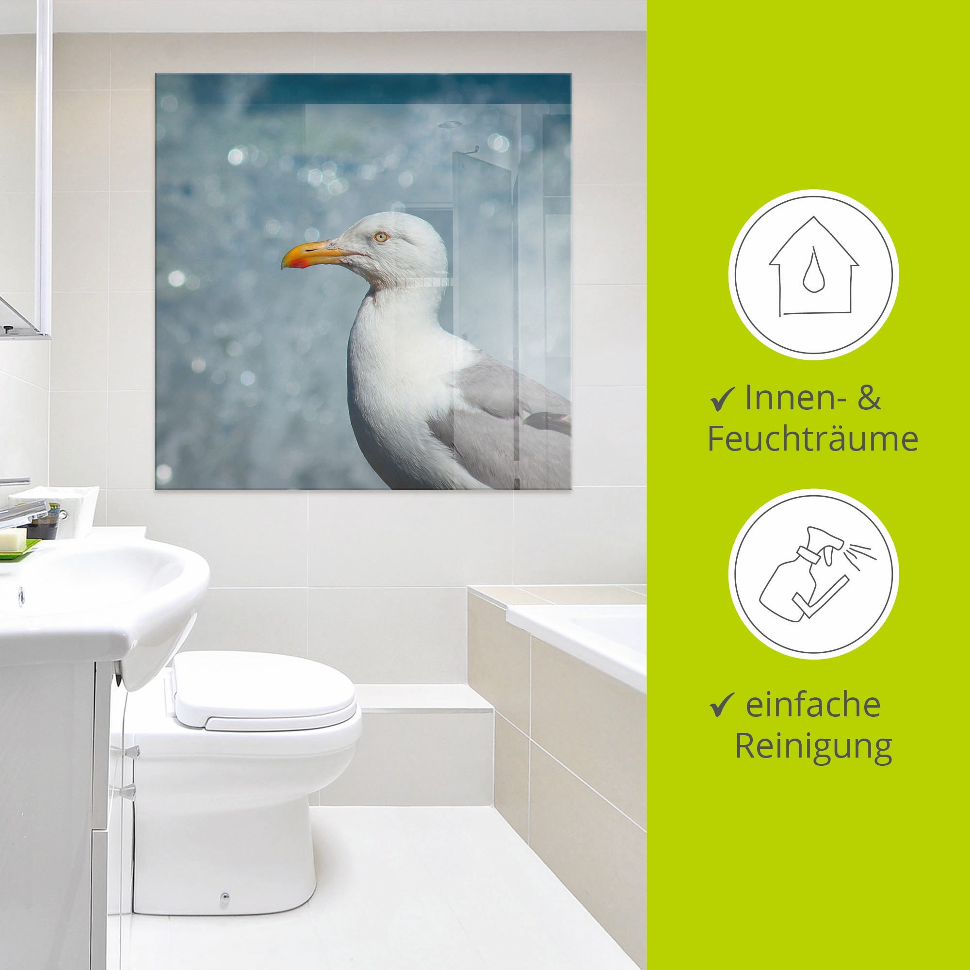 Artland Tableau en verre »Möwe an der Nordseeküste« Oiseaux 1 cuis tlg. disponible en différentes tailles
