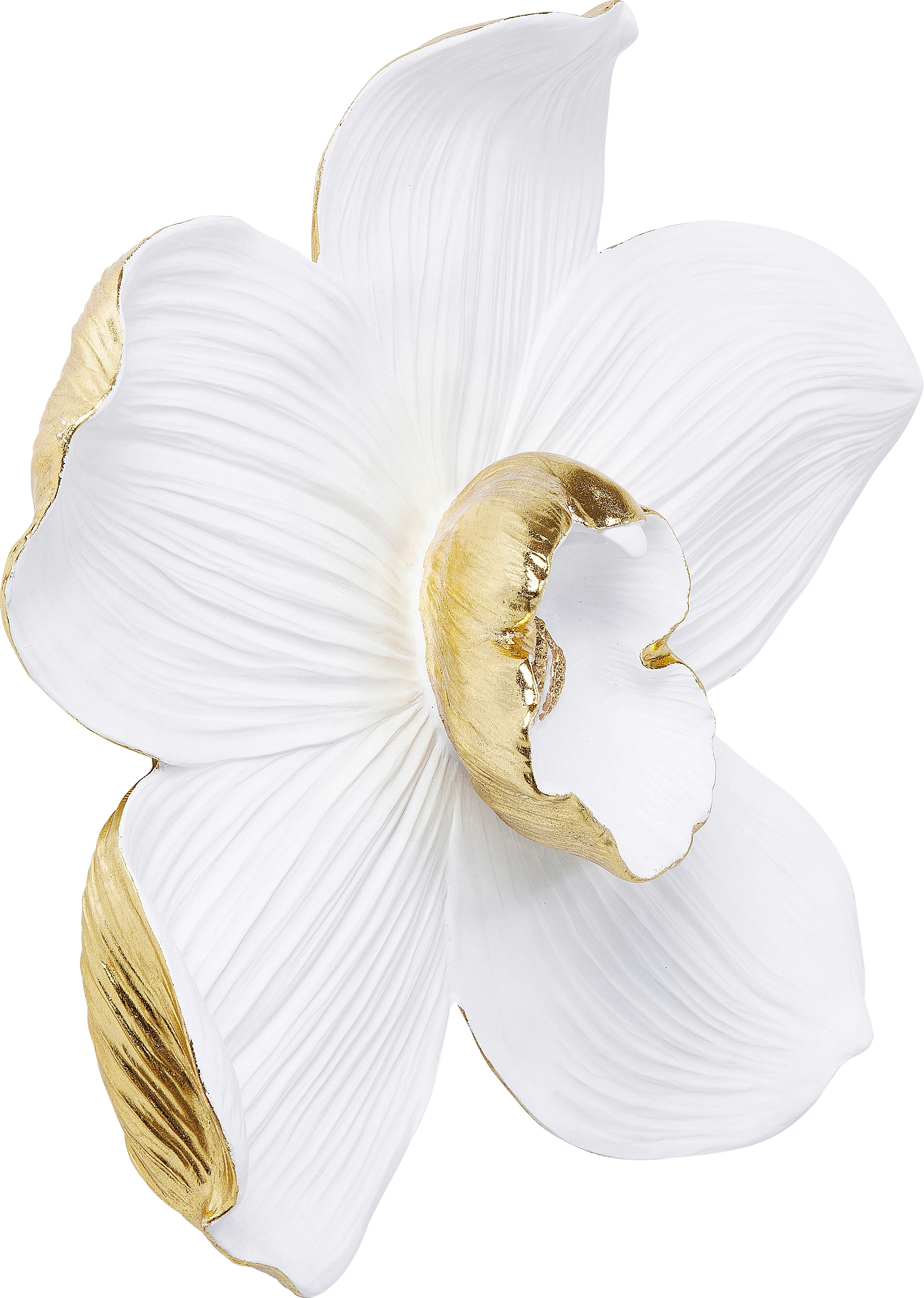 Kare Design Wanddekoobjekt »Wandschmuck Orchid Weiss 54cm«