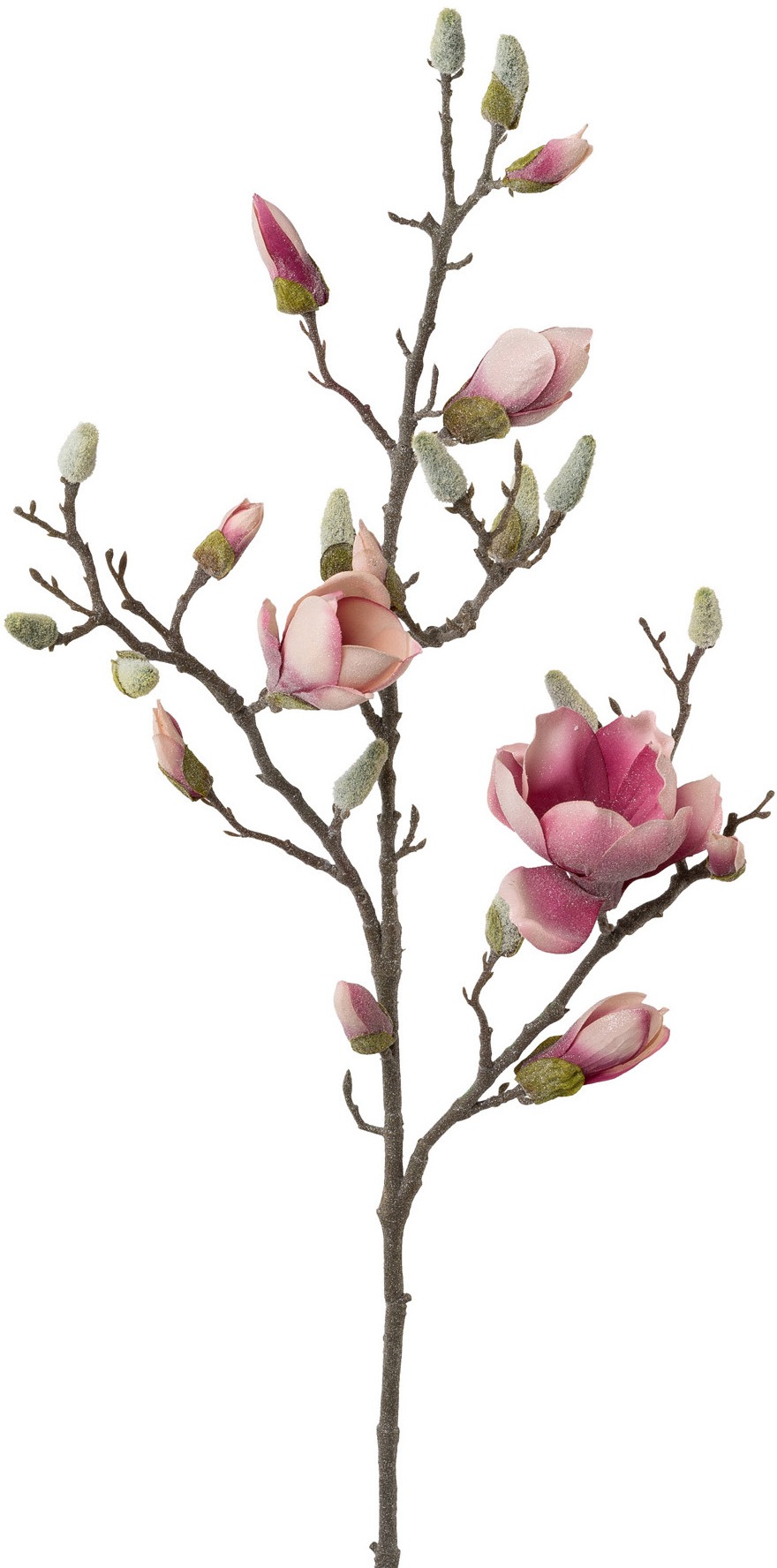 Image of Creativ deco Kunstzweig, Geeiste Optik bei Ackermann Versand Schweiz