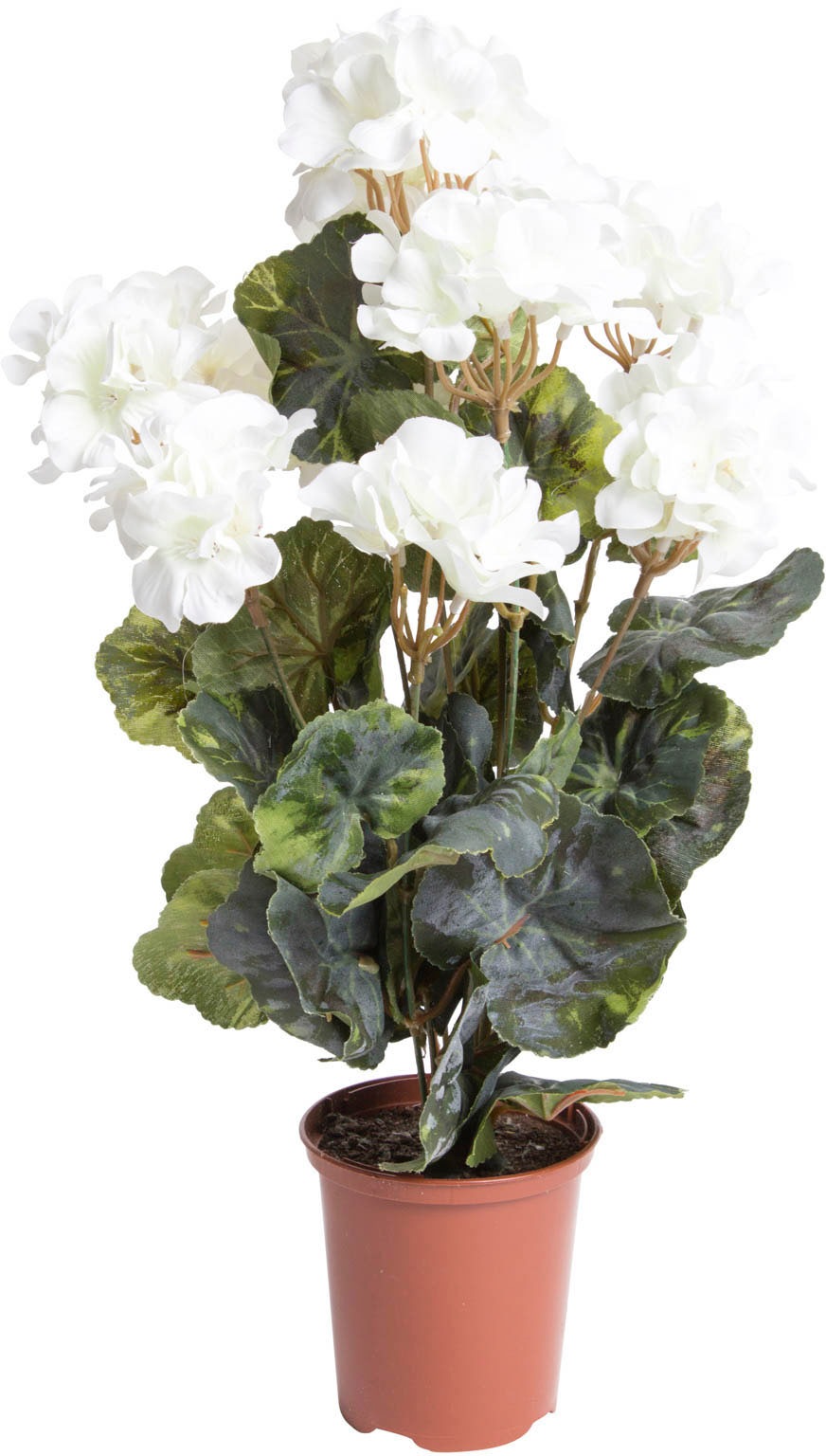 Image of Botanic-Haus Kunstblume »Geranienbusch gross getopft«, (1 St.) bei Ackermann Versand Schweiz