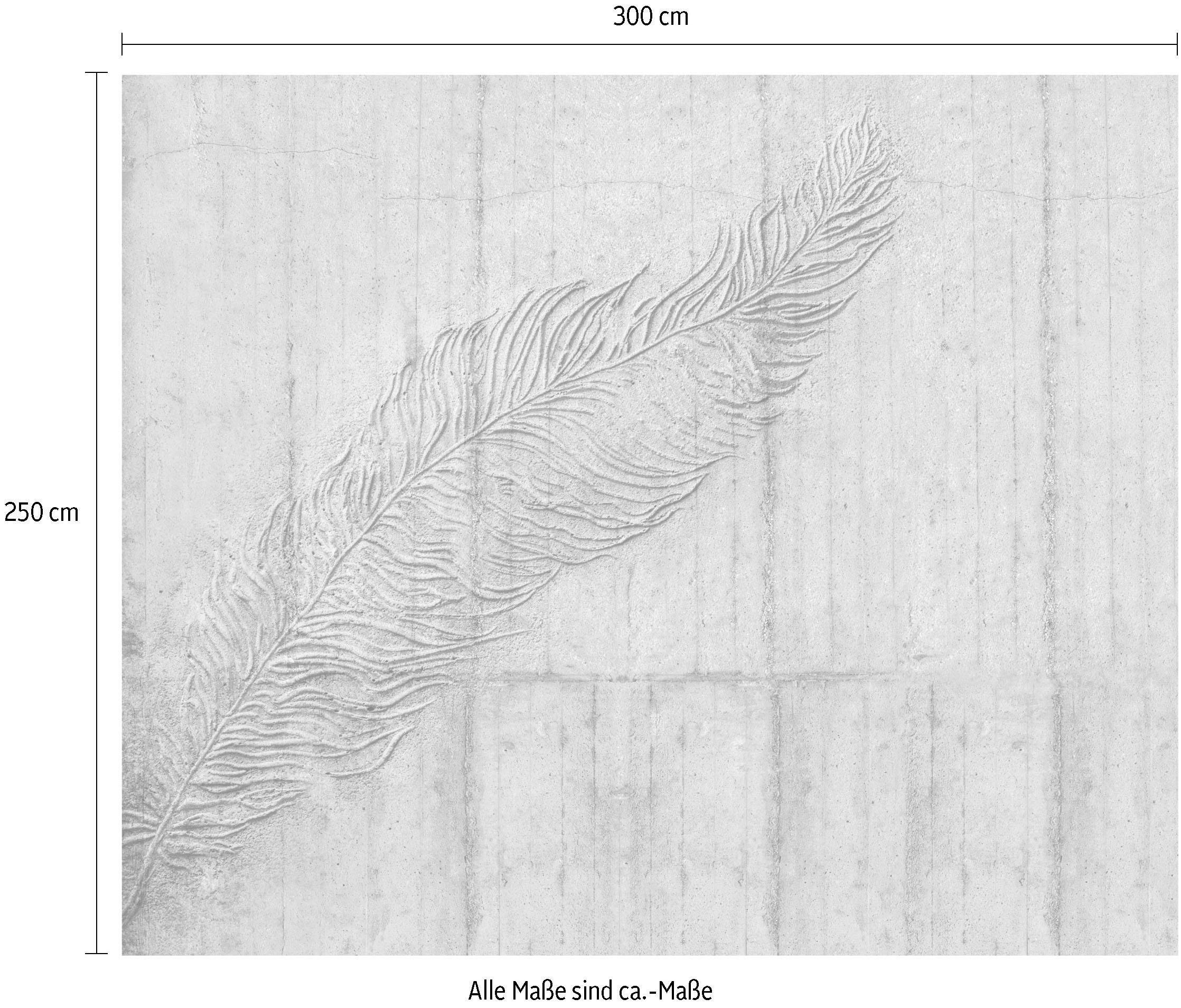 Komar Vliestapete »Digitaldruck Vlies - Betonfeder - Grösse 300 x 250 cm«, bedruckt, Wohnzimmer, Schlafzimmer