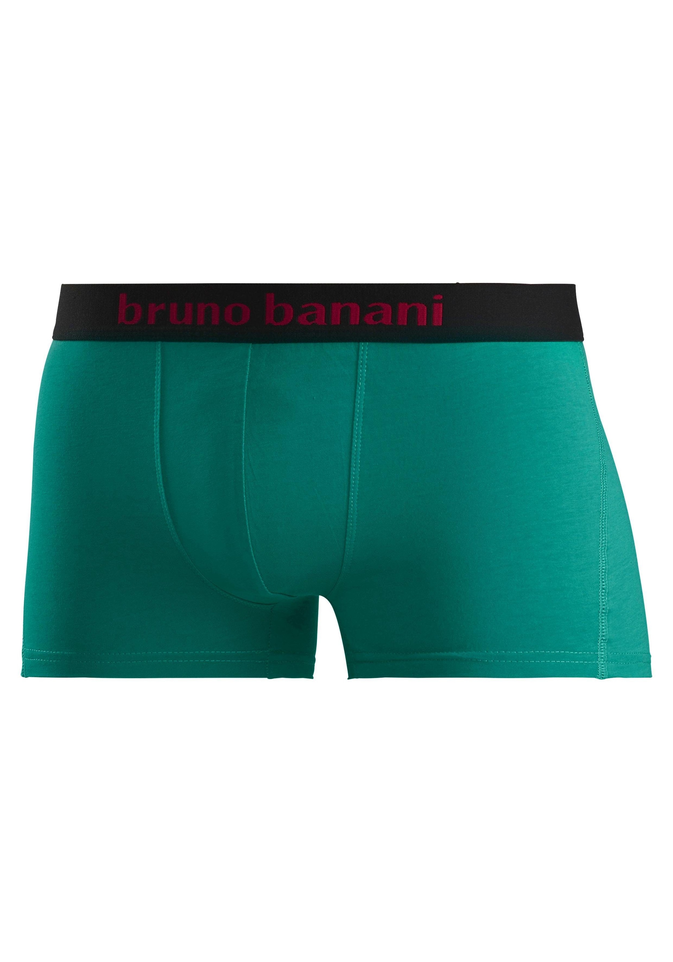 Bruno Banani Boxer »Boxershorts für Herren«, (Packung, 4 St.), mit farbigen Marken-Schriftzug am Bündchen