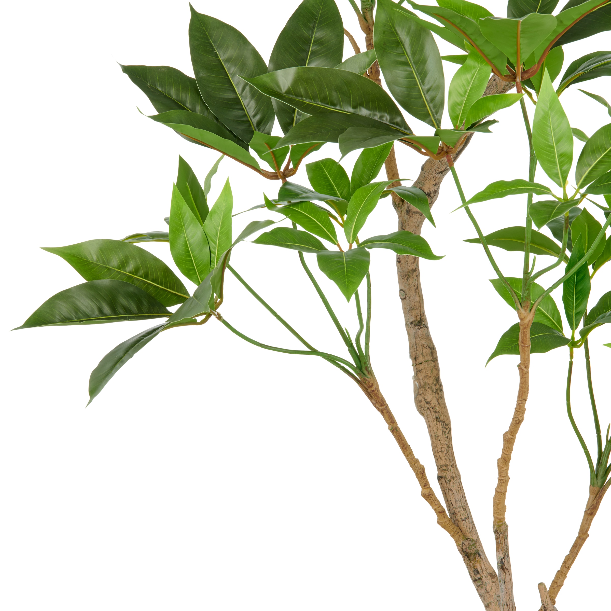 Creativ green Kunstbaum »Zimmeraralie« mit naturgetreuer Gestaltung