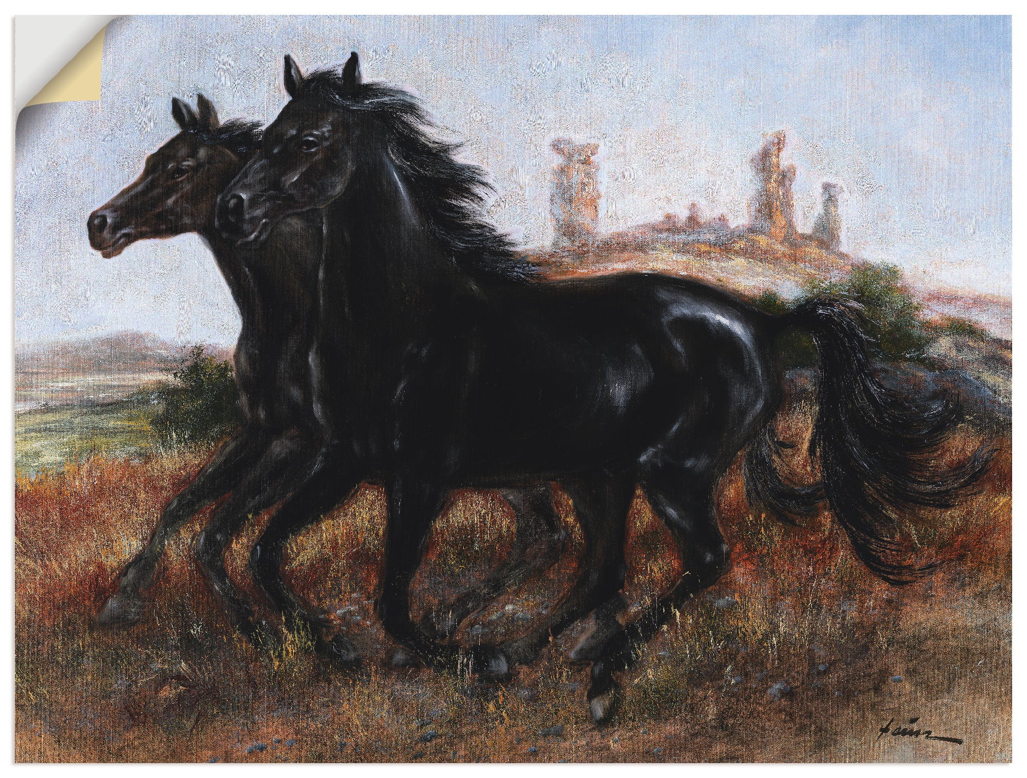 Image of Artland Wandbild »Wildpferde«, Haustiere, (1 St.), in vielen Grössen & Produktarten - Alubild / Outdoorbild für den Aussenbereich, Leinwandbild, Poster, Wandaufkleber / Wandtattoo auch für Badezimmer geeignet bei Ackermann Versand Schweiz