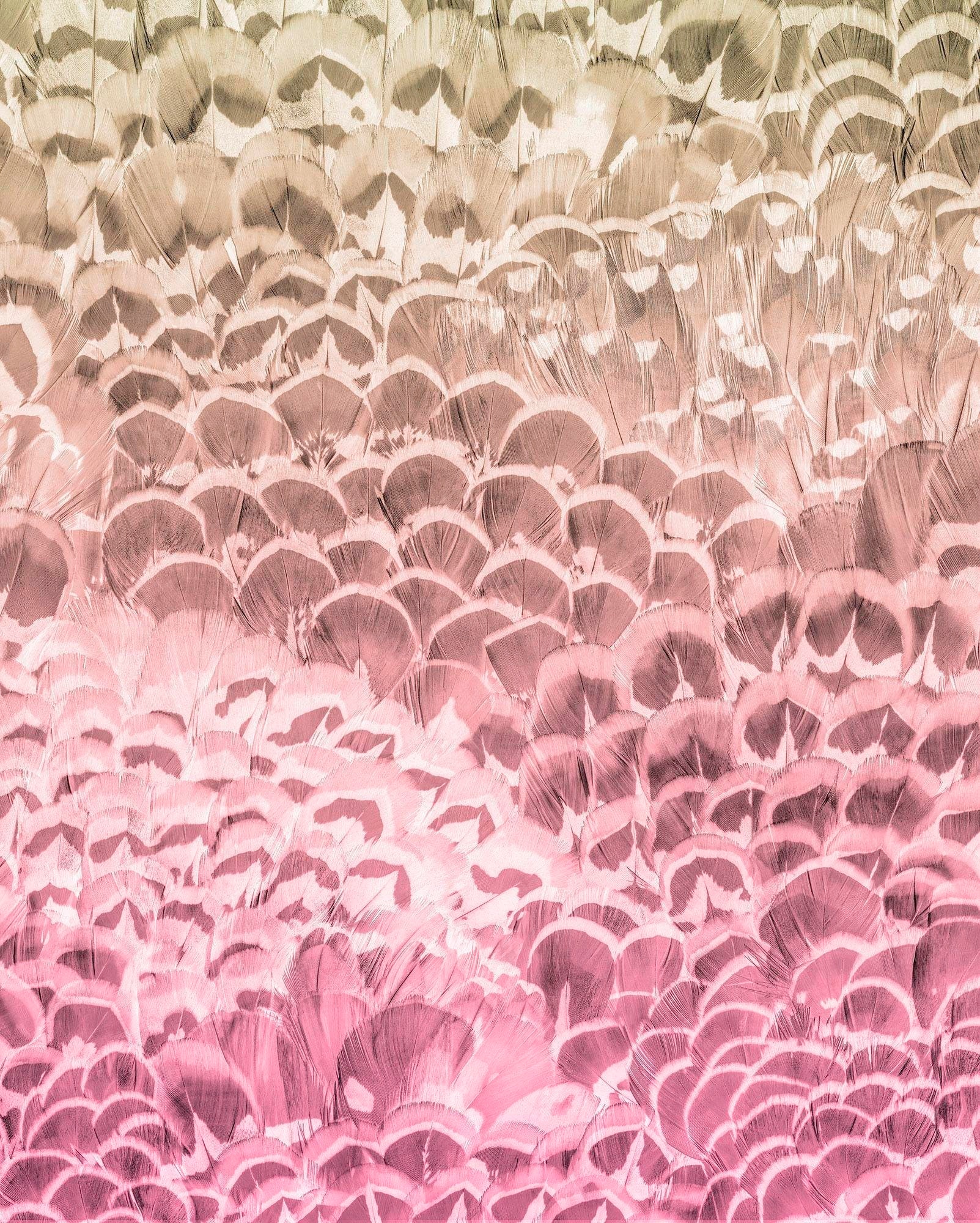 Image of Komar Vliestapete "Digitaldruck Vlies - Pale Feathers - Grösse 200 x 250 cm" bedruckt glatt Wohnzimmer, Schlafzimmer