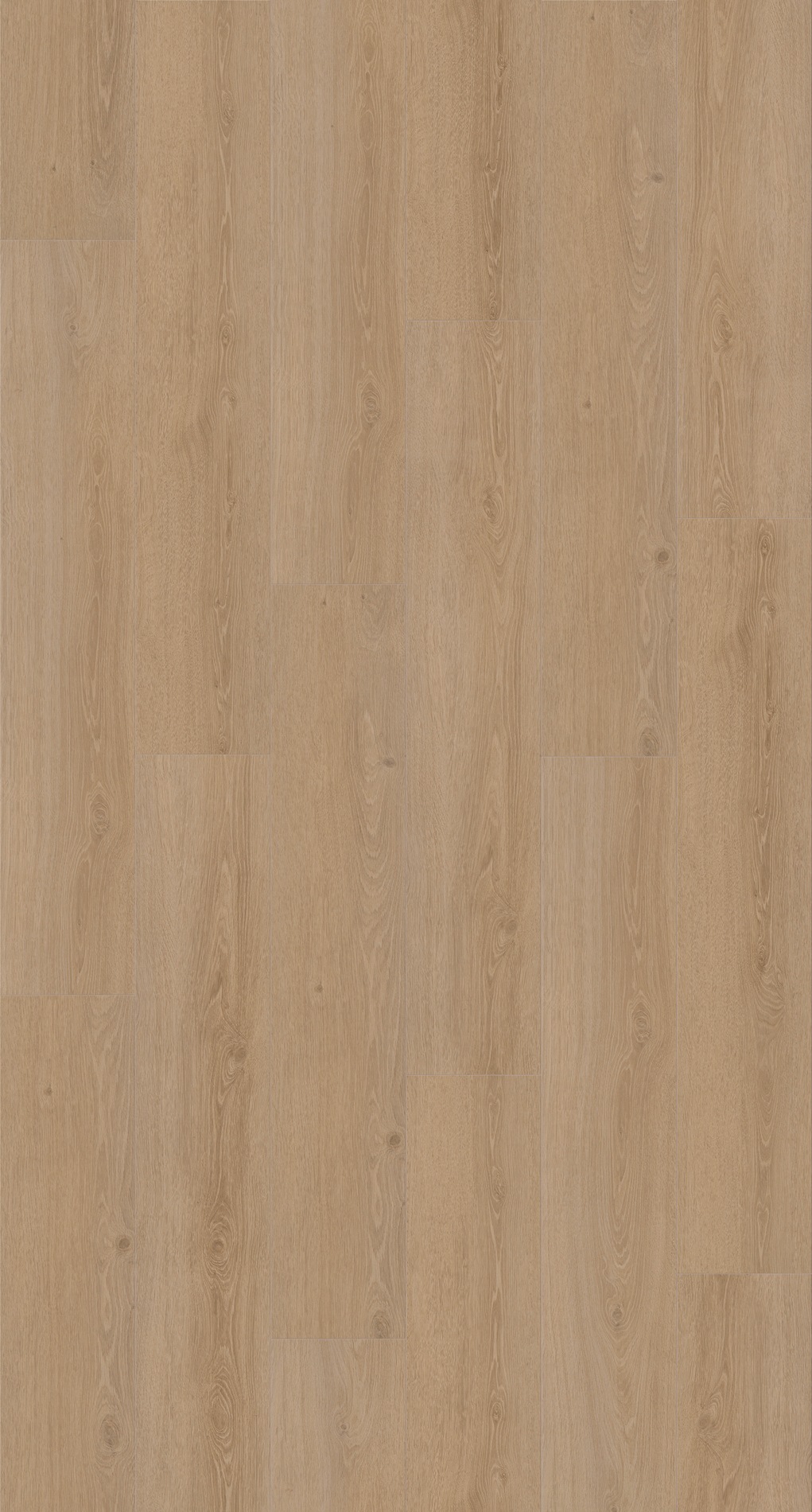 Image of PARADOR Vinyllaminat »Classic 2030 - Eiche Studioline Natur«, 1214 x 216 x 8,6 mm, 1,8 m² bei Ackermann Versand Schweiz