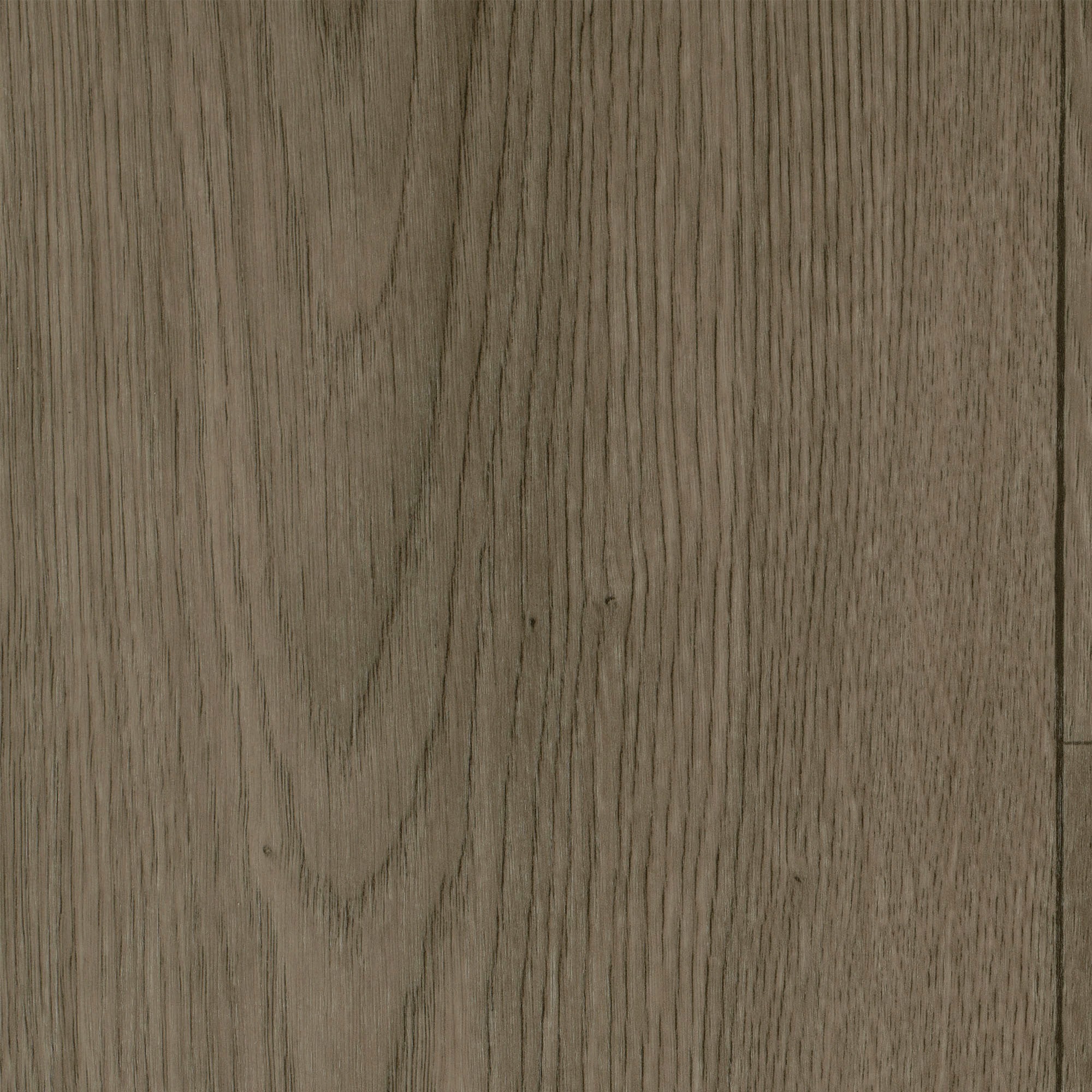 Image of Bodenmeister Vinylboden »PVC Bodenbelag Holzoptik Diele Eiche hell-grau«, Meterware, Breite 200/300/400 cm bei Ackermann Versand Schweiz