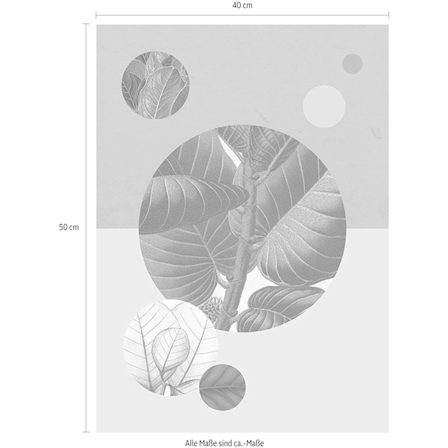 Komar Poster »Green Structure«, Pflanzen-Blätter, Höhe: 40cm günstig kaufen