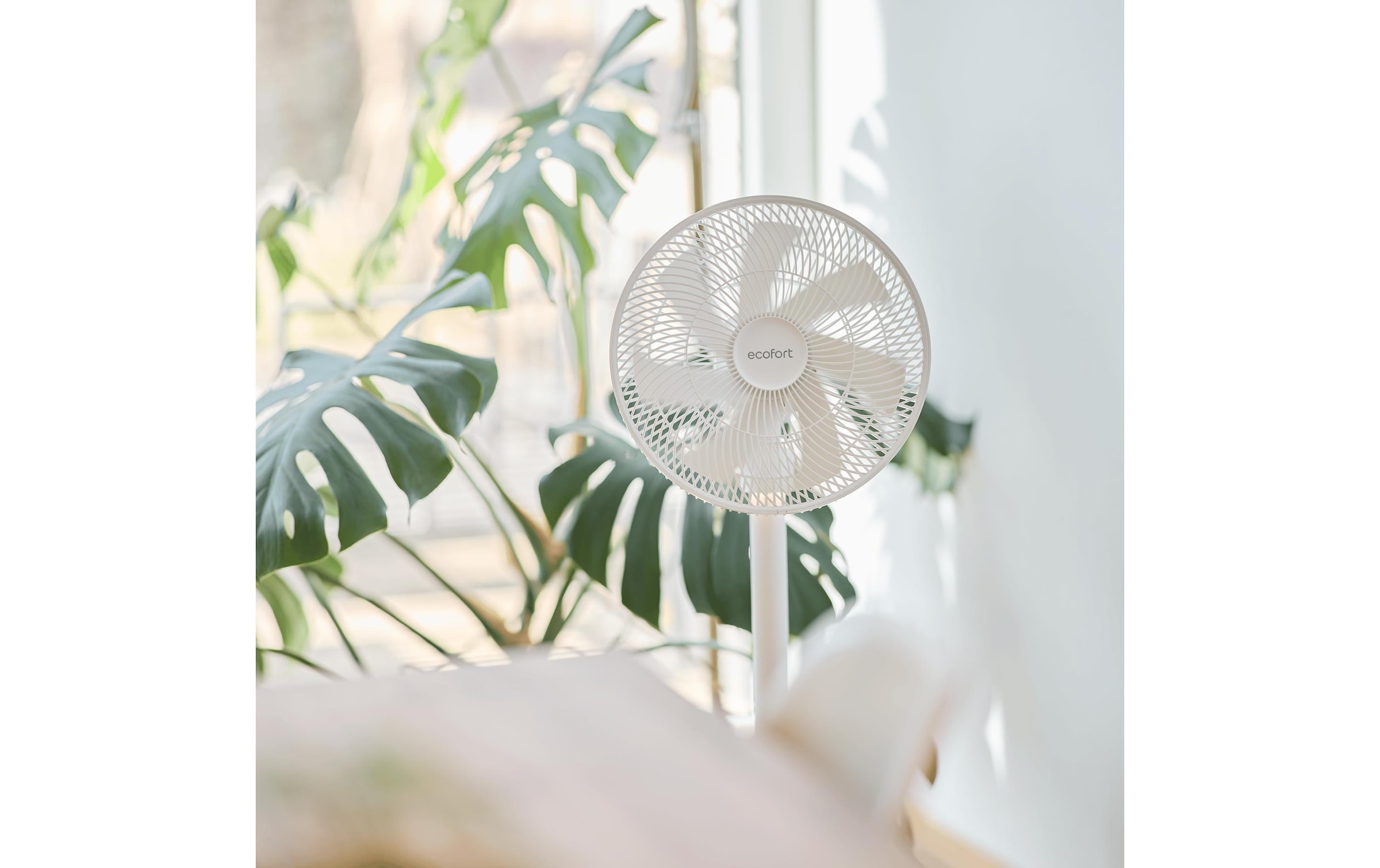   Standventilator »Ecofort ecoQ SilentAir Due«