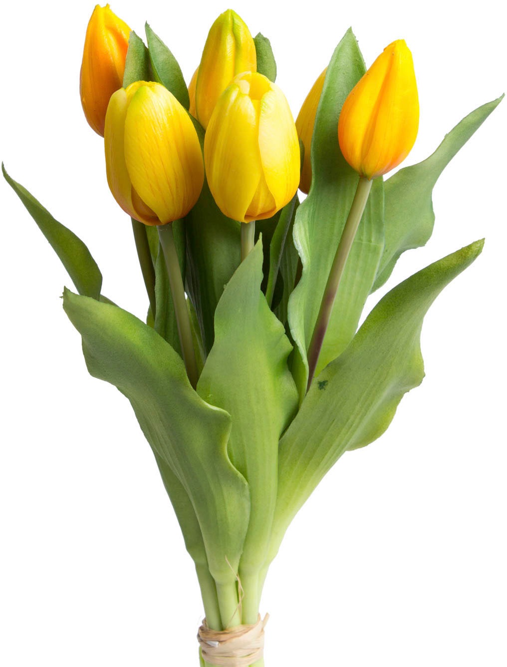 Image of DELAVITA Kunstblume »Willa«, (Set, 7 St.), Tulpenbündel im 7er-Set bei Ackermann Versand Schweiz