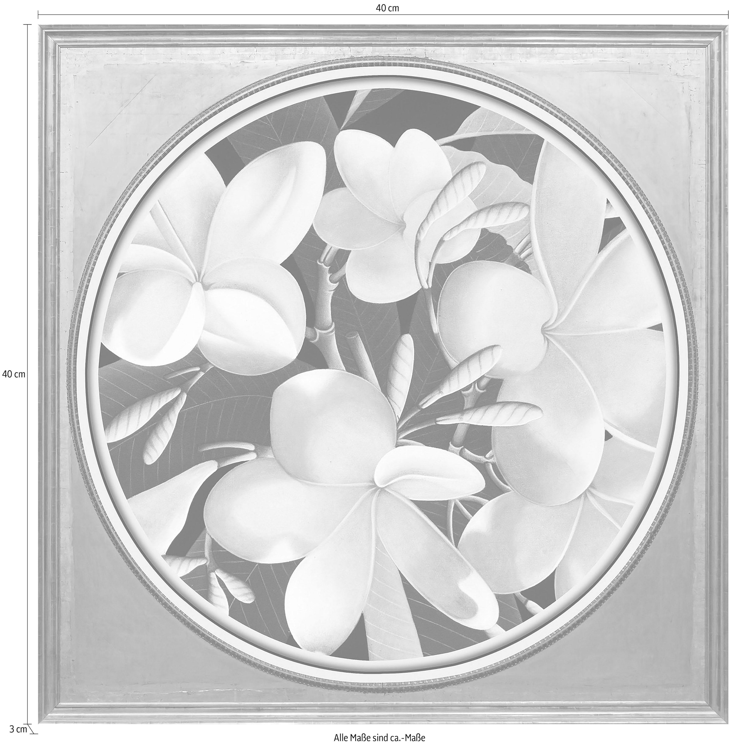 queence Acrylglasbild »Gelbe Blüten«, Blumen-Blumenbilder-Kunst-Pflanzen-Pflanzenbilder-Gemälde, Fine Art-Print in Galeriequalität