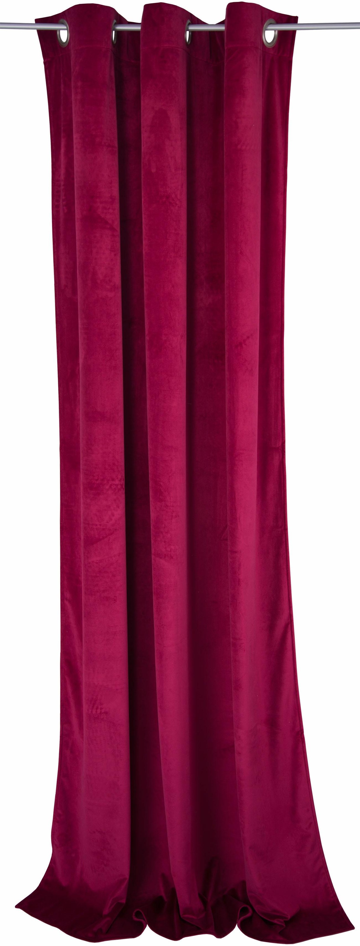 Image of TOM TAILOR Vorhang »FRENCH VELVET«, (1 St.), HxB: 245x135 bei Ackermann Versand Schweiz