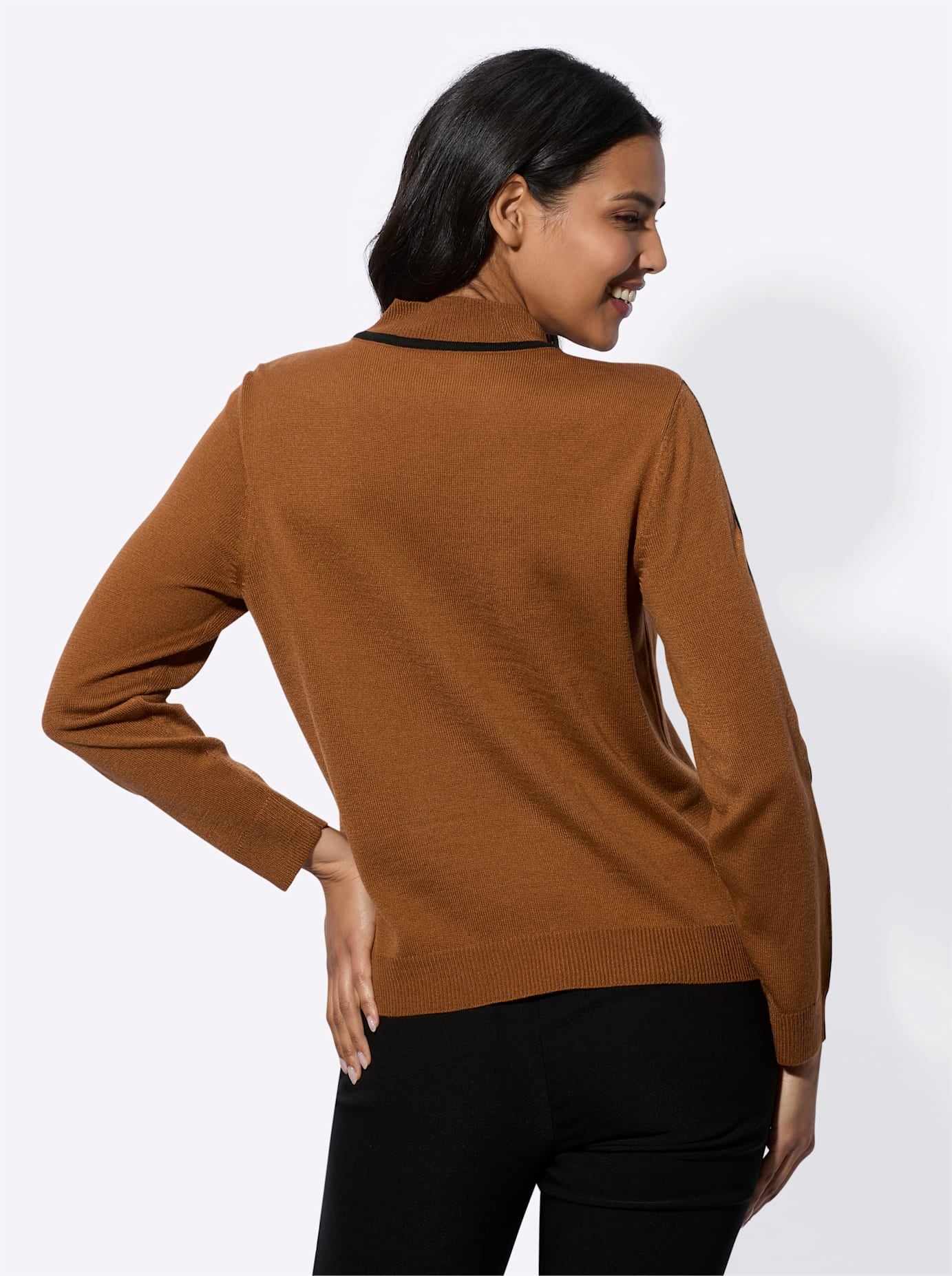 Classic Basics Stehkragenpullover »Langarm-Pullover«