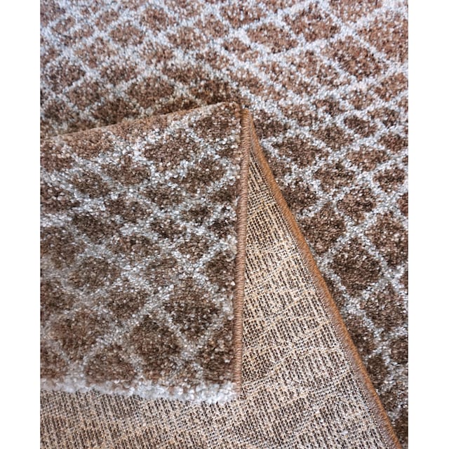 ASTRA Teppich »Carpi Gitter«, rechteckig, Wohnzimmer bequem kaufen
