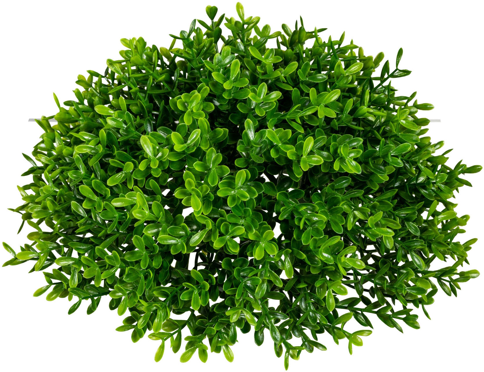 Creativ green Kunstpflanze »Teeblatt-Halbkugel«