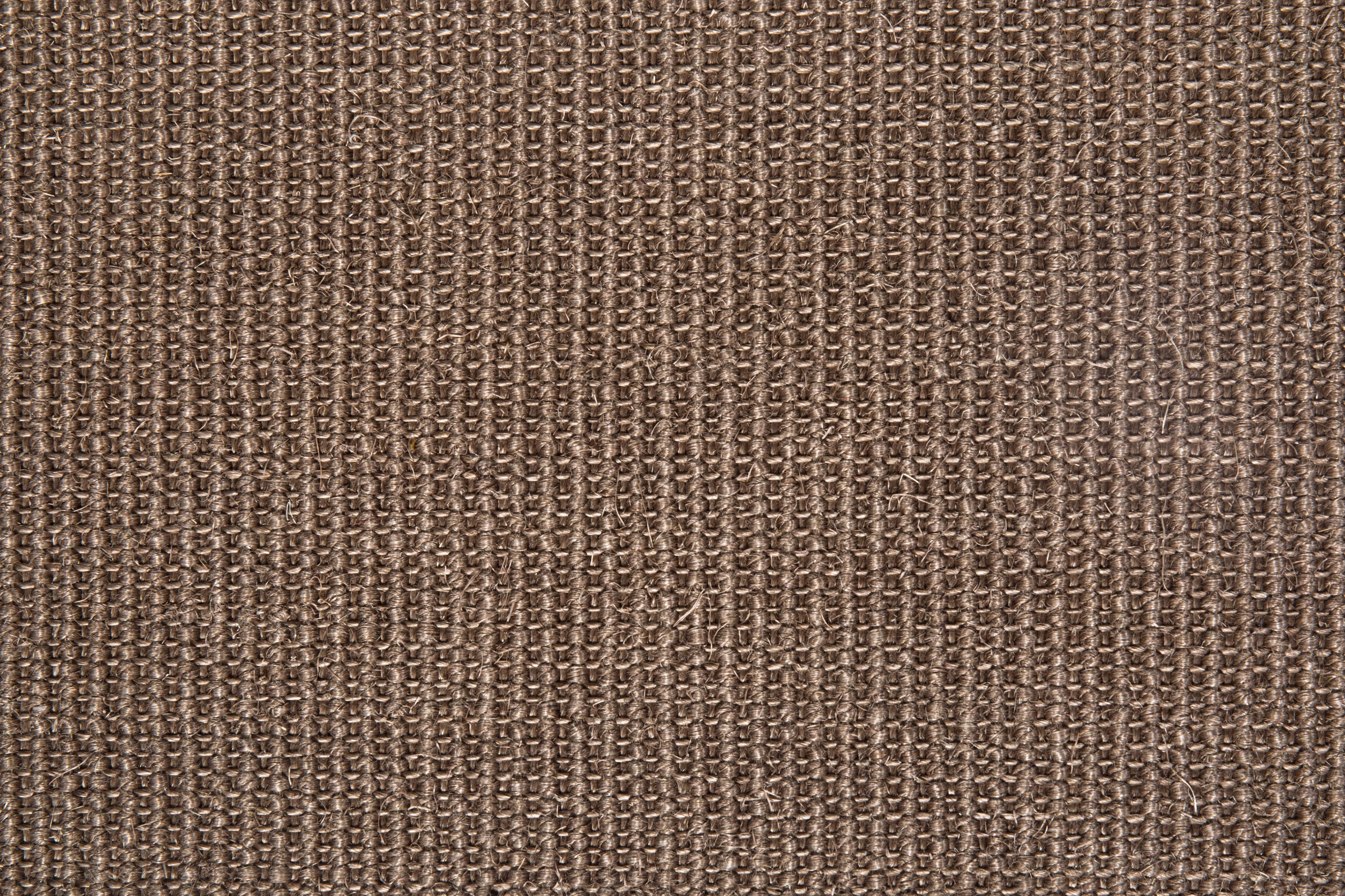 Image of Andiamo Teppich »Salvador«, rechteckig, 6 mm Höhe, Meterware, Breite 400 cm, Länge frei wählbar, strapazierfähig bei Ackermann Versand Schweiz