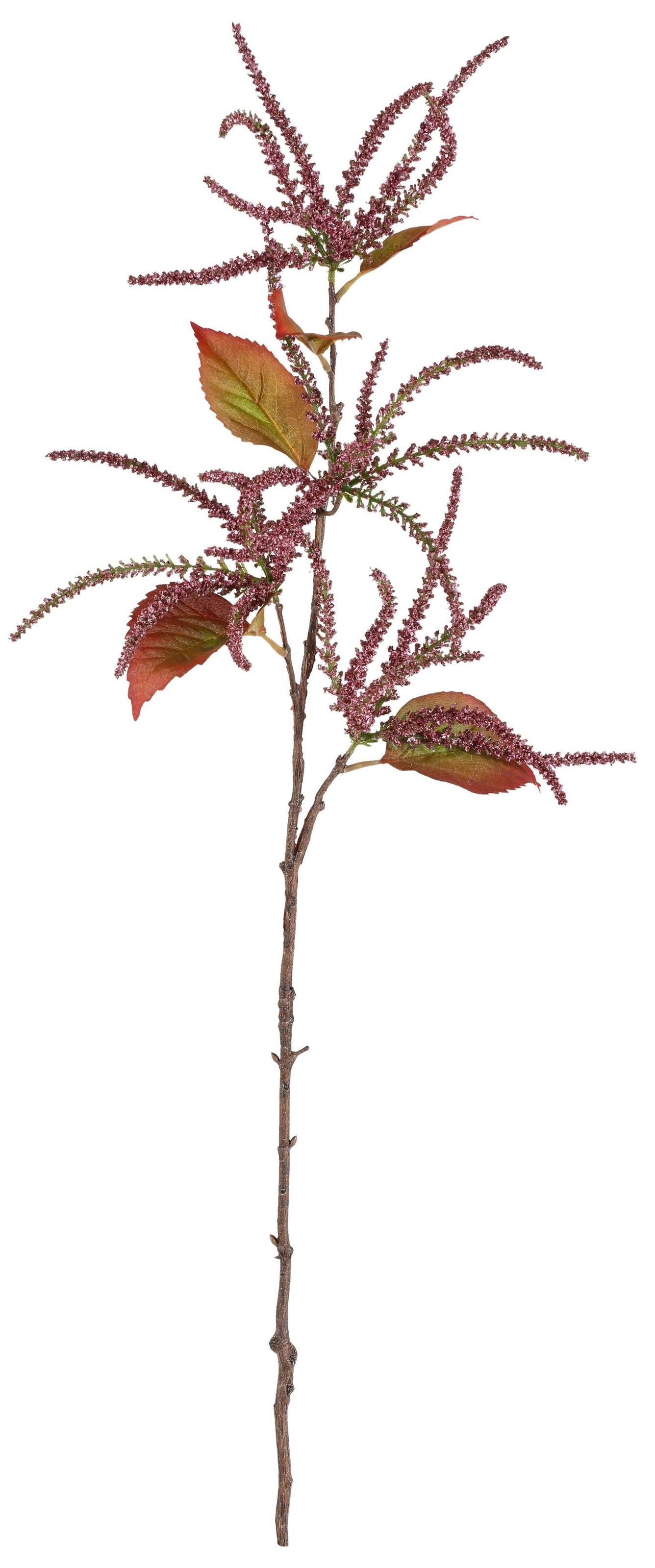 Image of Creativ deco Kunstzweig »Amaranthus«, (Set, 2 St.) bei Ackermann Versand Schweiz