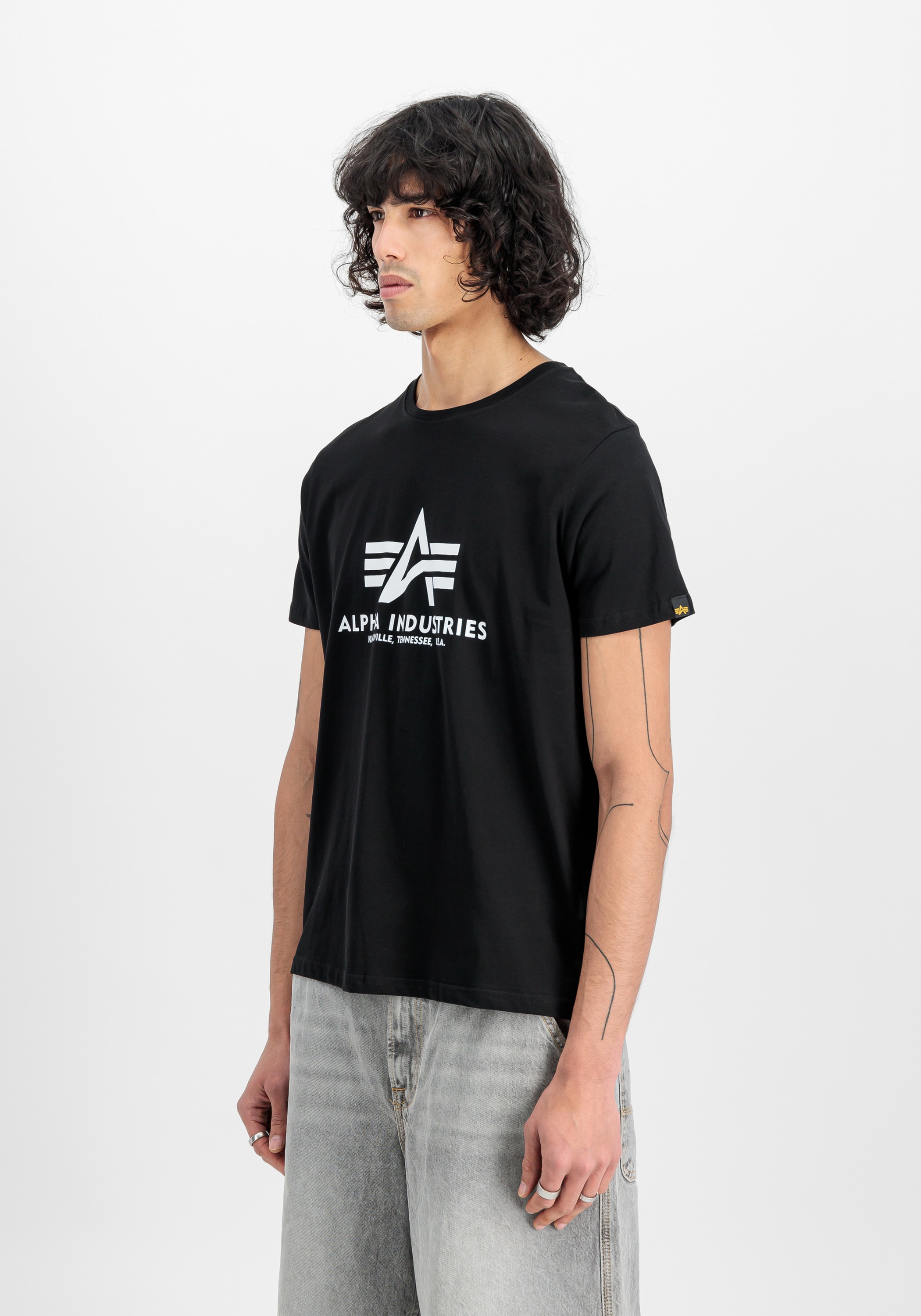 Alpha Industries T-Shirt »Alpha Industries Men - T-Shirts Basic T-Shirt BL 2 Pack«