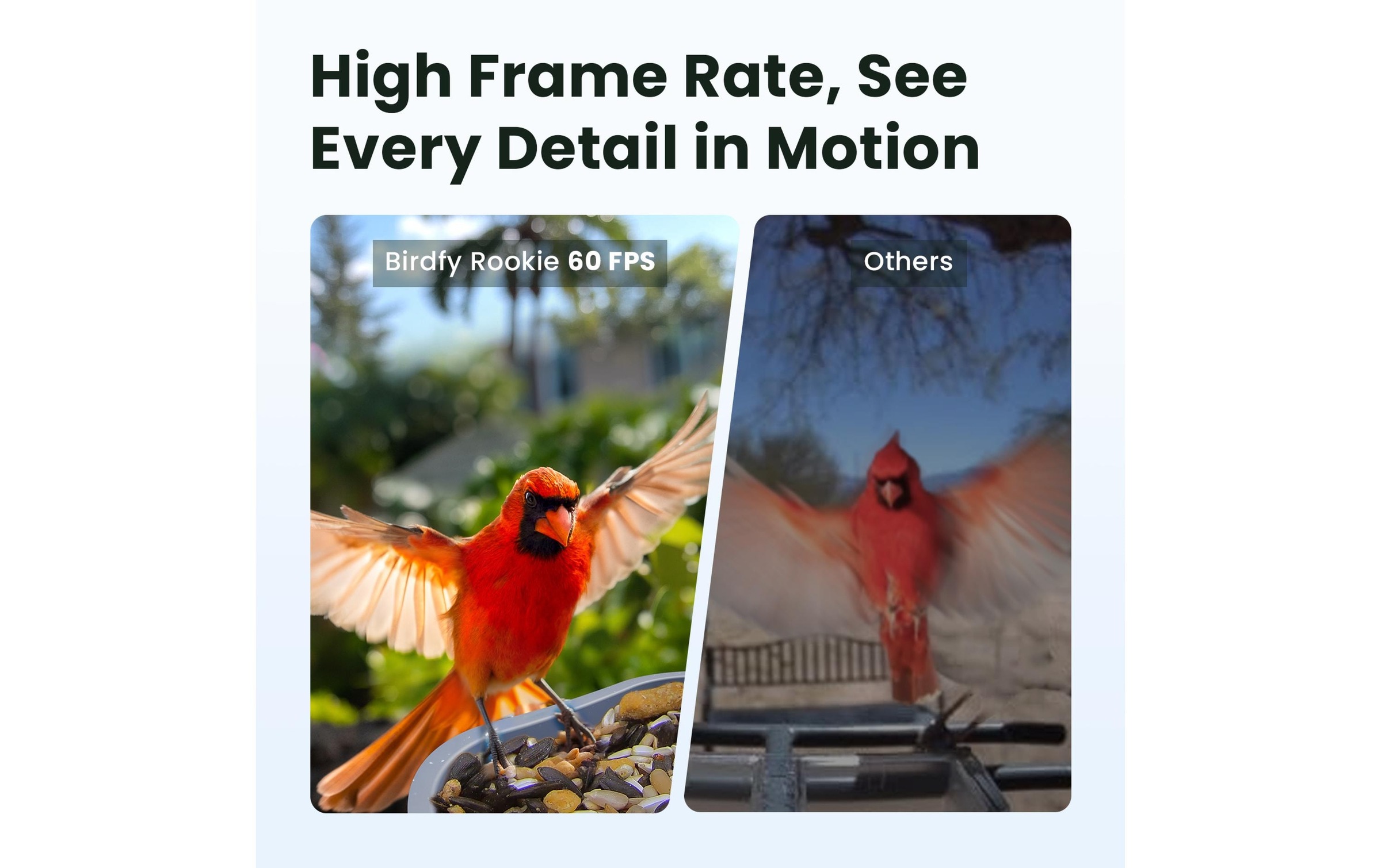 Vogelhaus "mit Kamera 60 fps 1080p" Smartes Vogelhaus mit HD Kamera mit AI Erkennung