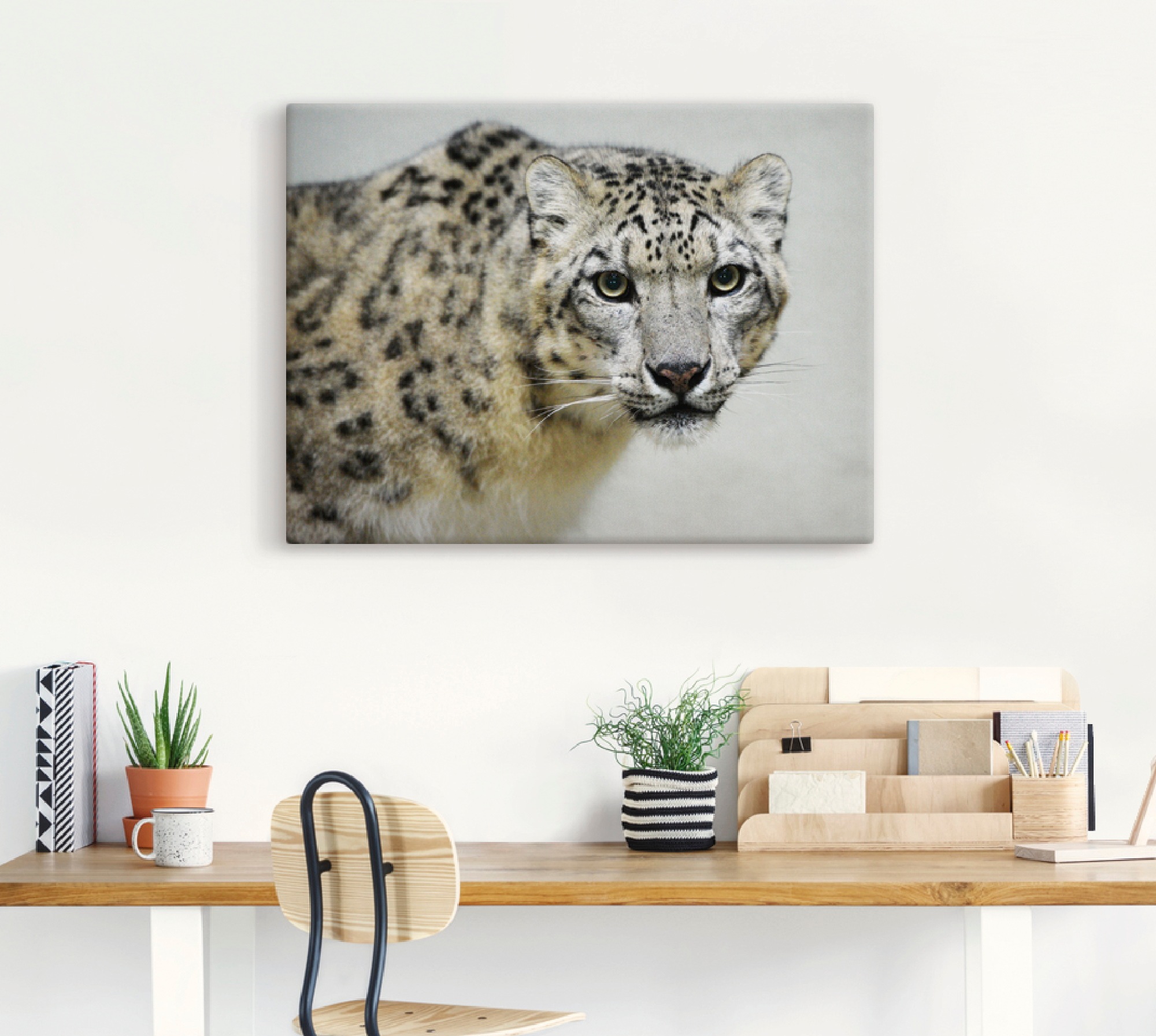 Artland Fresque murale »Schneeleopard« 1 cuis tlg. als Alubild, Leinwandbild in verschied. Grössen