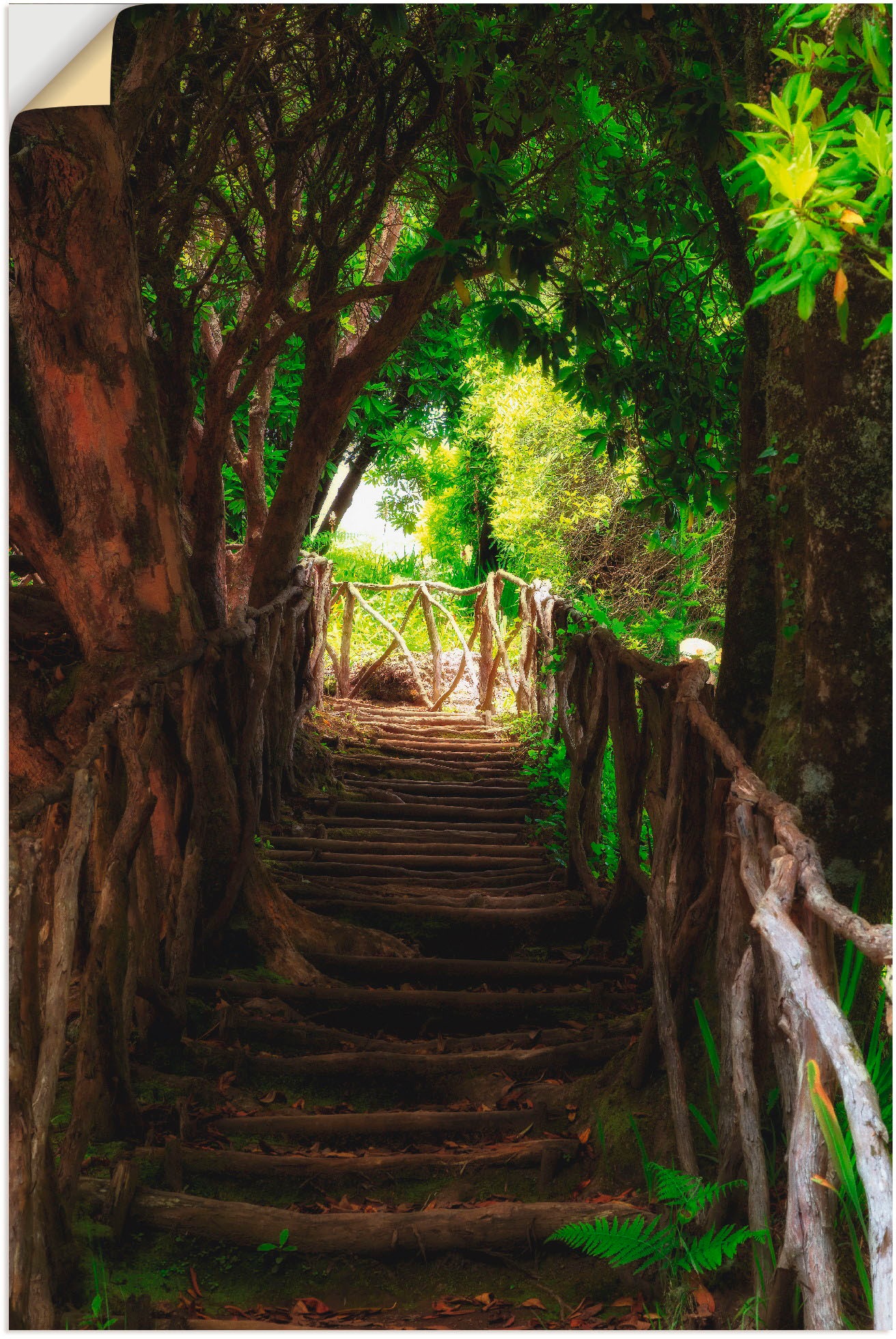 Image of Artland Wandbild »Wanderweg«, Wald, (1 St.), in vielen Grössen & Produktarten - Alubild / Outdoorbild für den Aussenbereich, Leinwandbild, Poster, Wandaufkleber / Wandtattoo auch für Badezimmer geeignet bei Ackermann Versand Schweiz