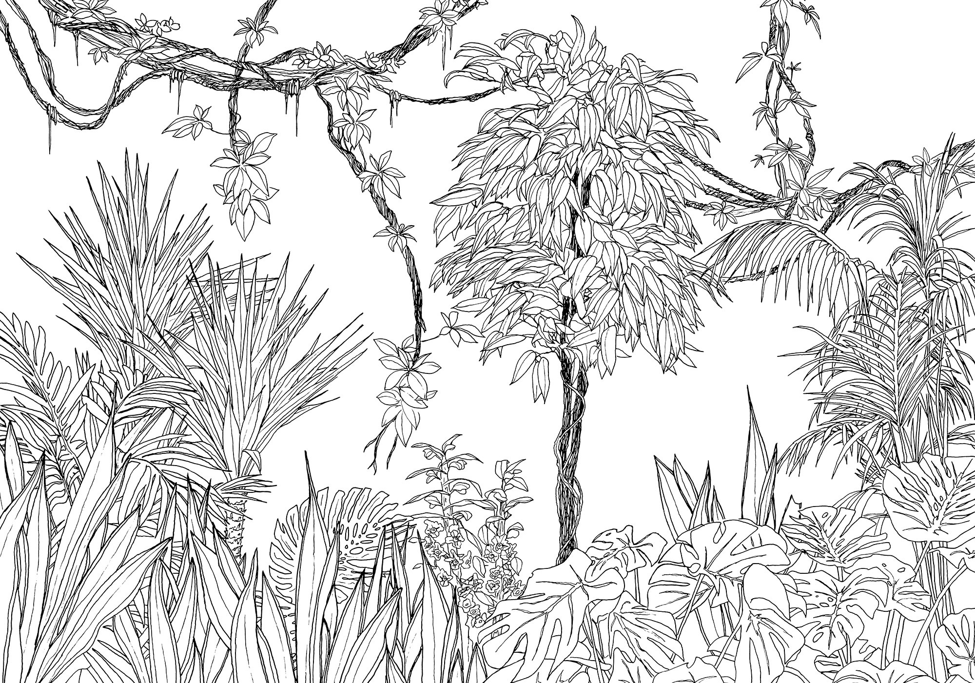 Image of Komar Fototapete »Blanca«, floral-Wald-natürlich bei Ackermann Versand Schweiz