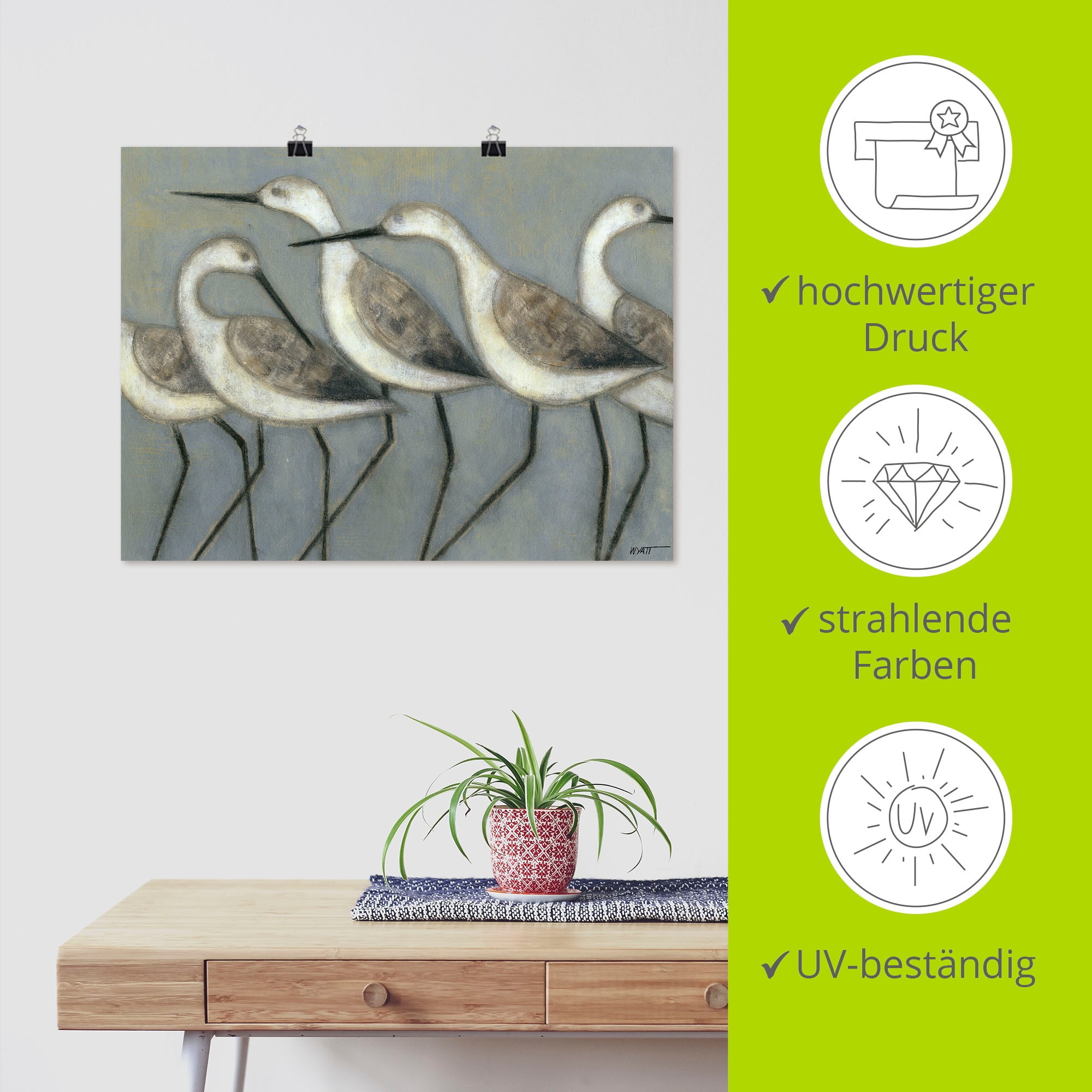 Artland Wandbild »Küstenvögel I«, Vögel, (1 St.), als Alubild, Outdoorbild, Leinwandbild, Poster in verschied. Grössen