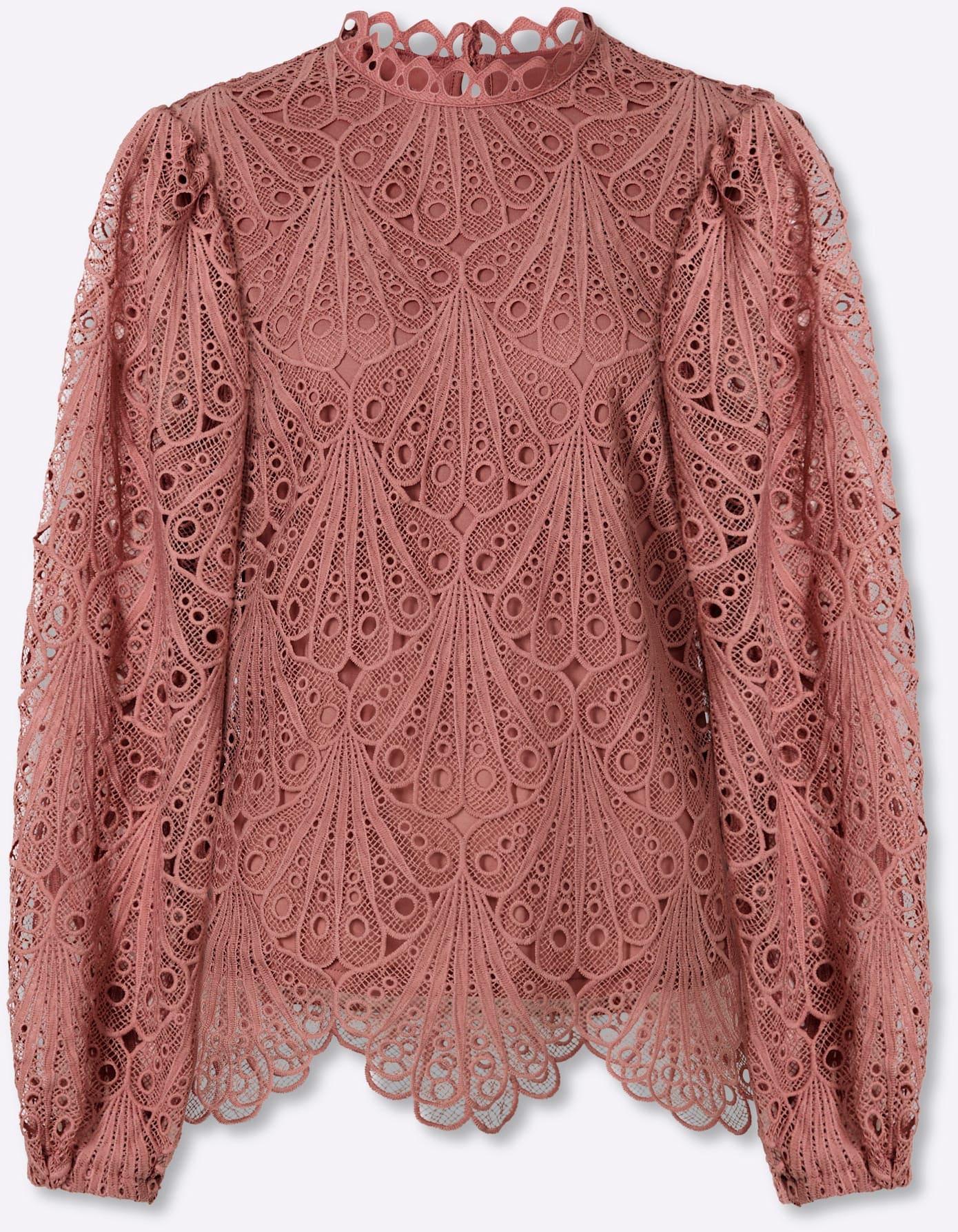 Lady Blouse en dentelle