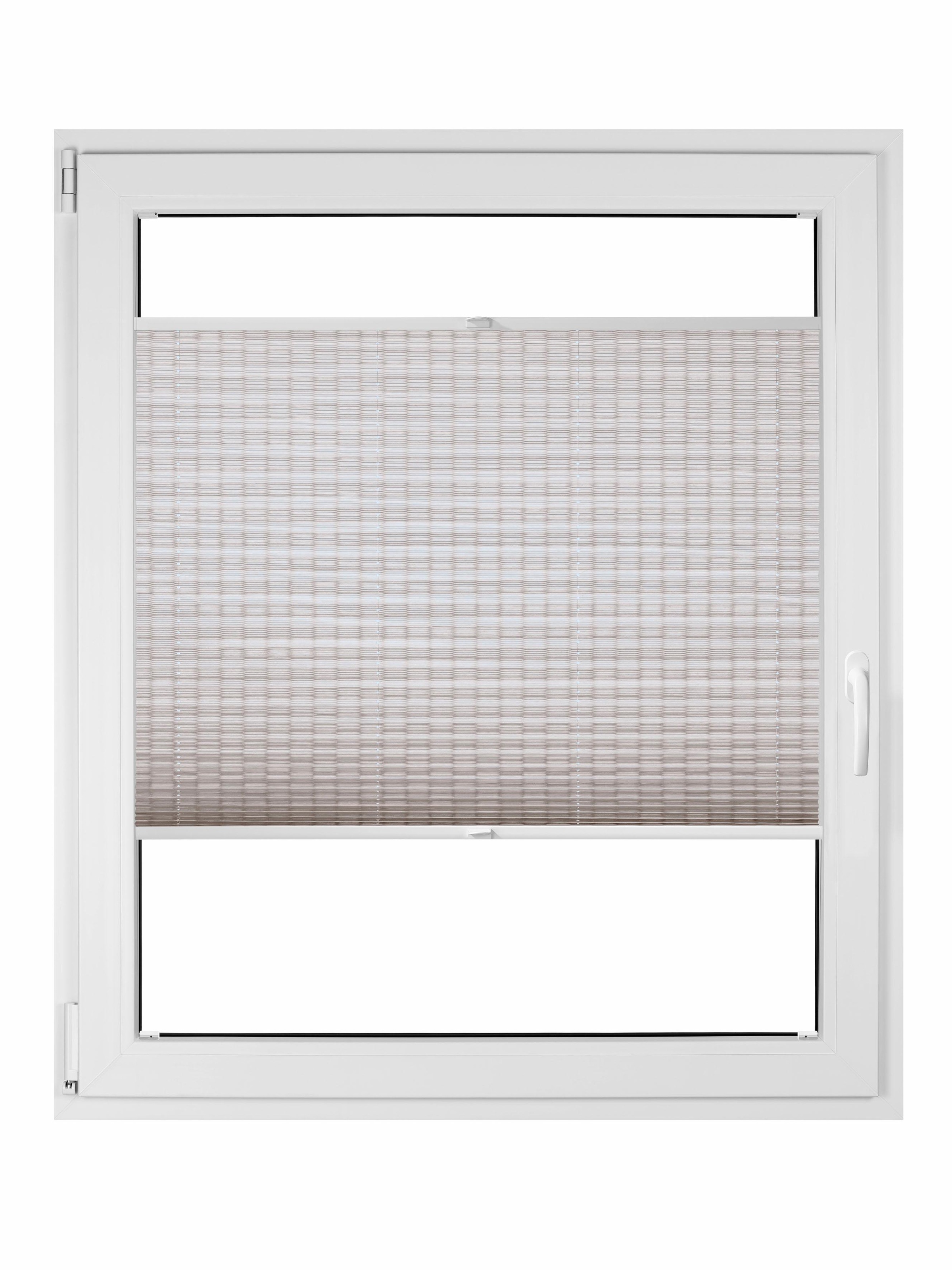 Image of Good Life Plissee nach Mass »Saigon«, Lichtschutz, mit Bohren, verspannt bei Ackermann Versand Schweiz