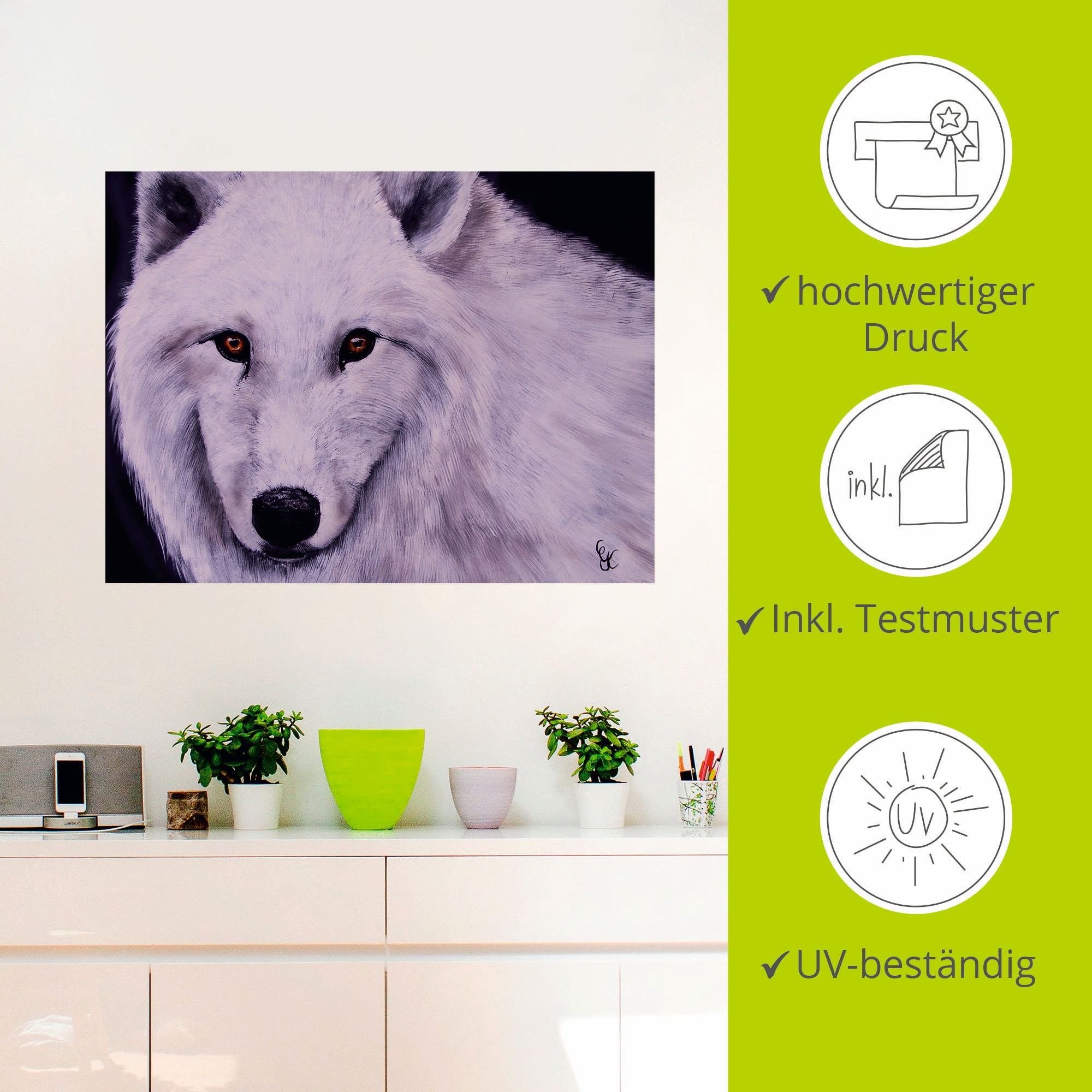 Artland Wandfolie »Weisser Wolf«, Wildtiere, (1 St.), selbstklebend