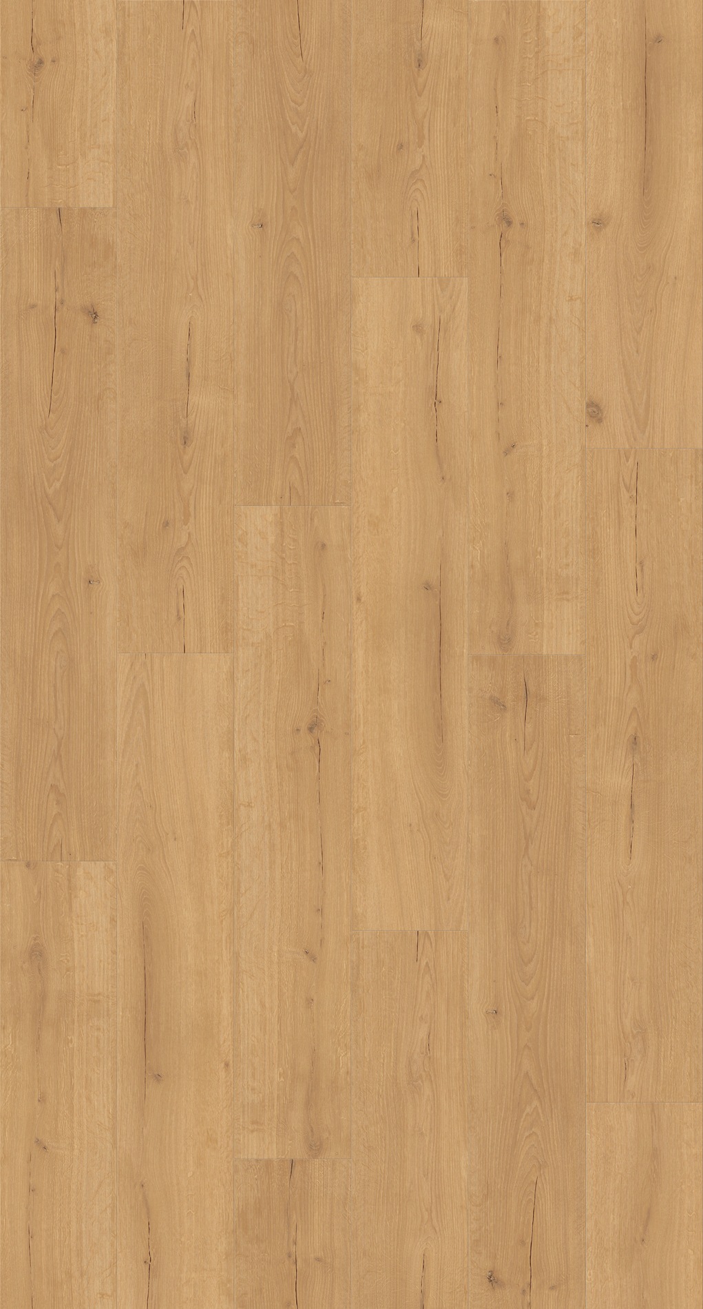 Image of PARADOR Vinylboden »Basic 30 - Eiche Infinity Natur«, 120,7 x 21,6 x 0,94 cm, 1,8 m² bei Ackermann Versand Schweiz