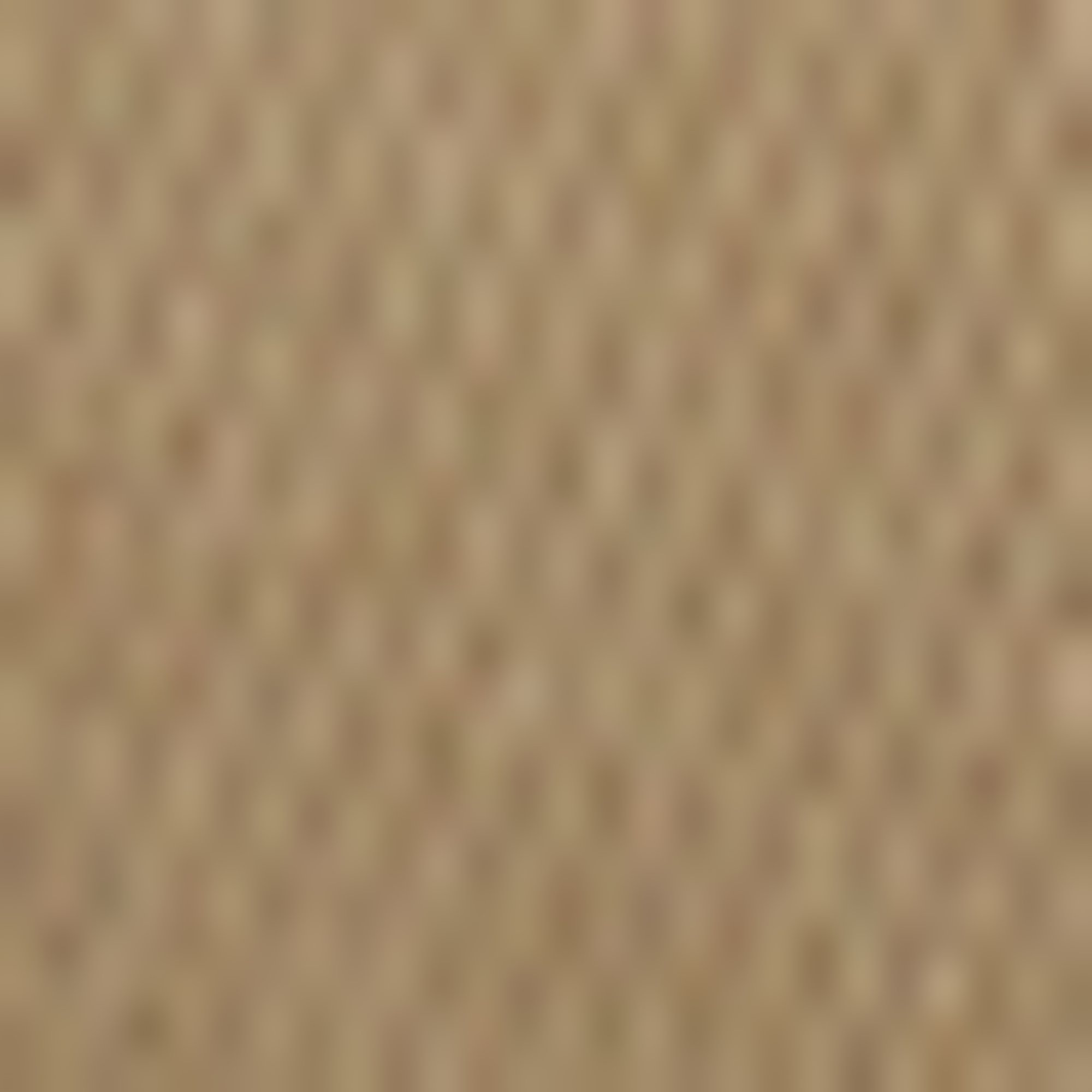 BOSS Baseball Cap »Zed BOSS-ME« Unisex, mit seitlichem Logo-Pin