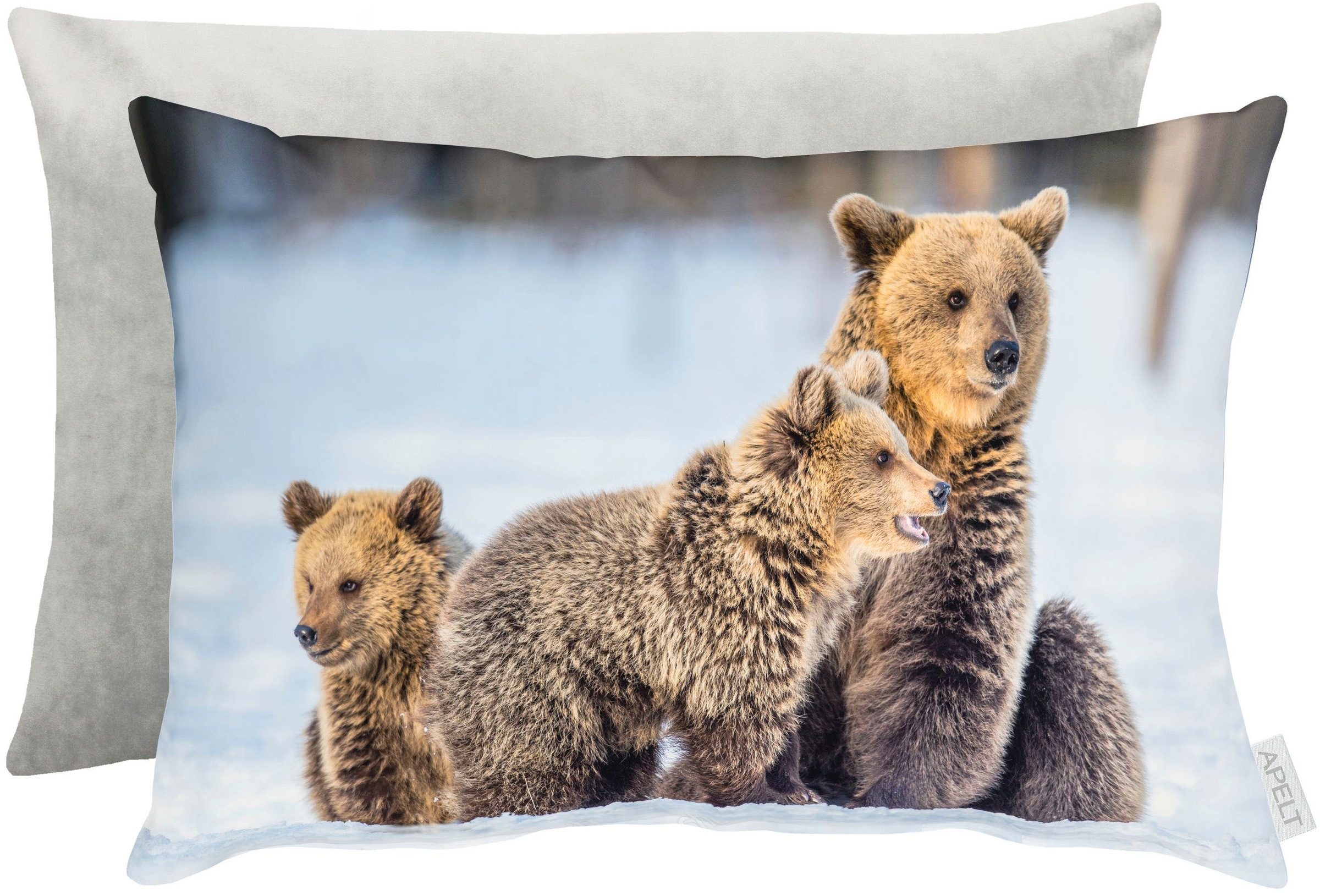 Image of APELT Dekokissen »3600«, (1 St.) bei Ackermann Versand Schweiz