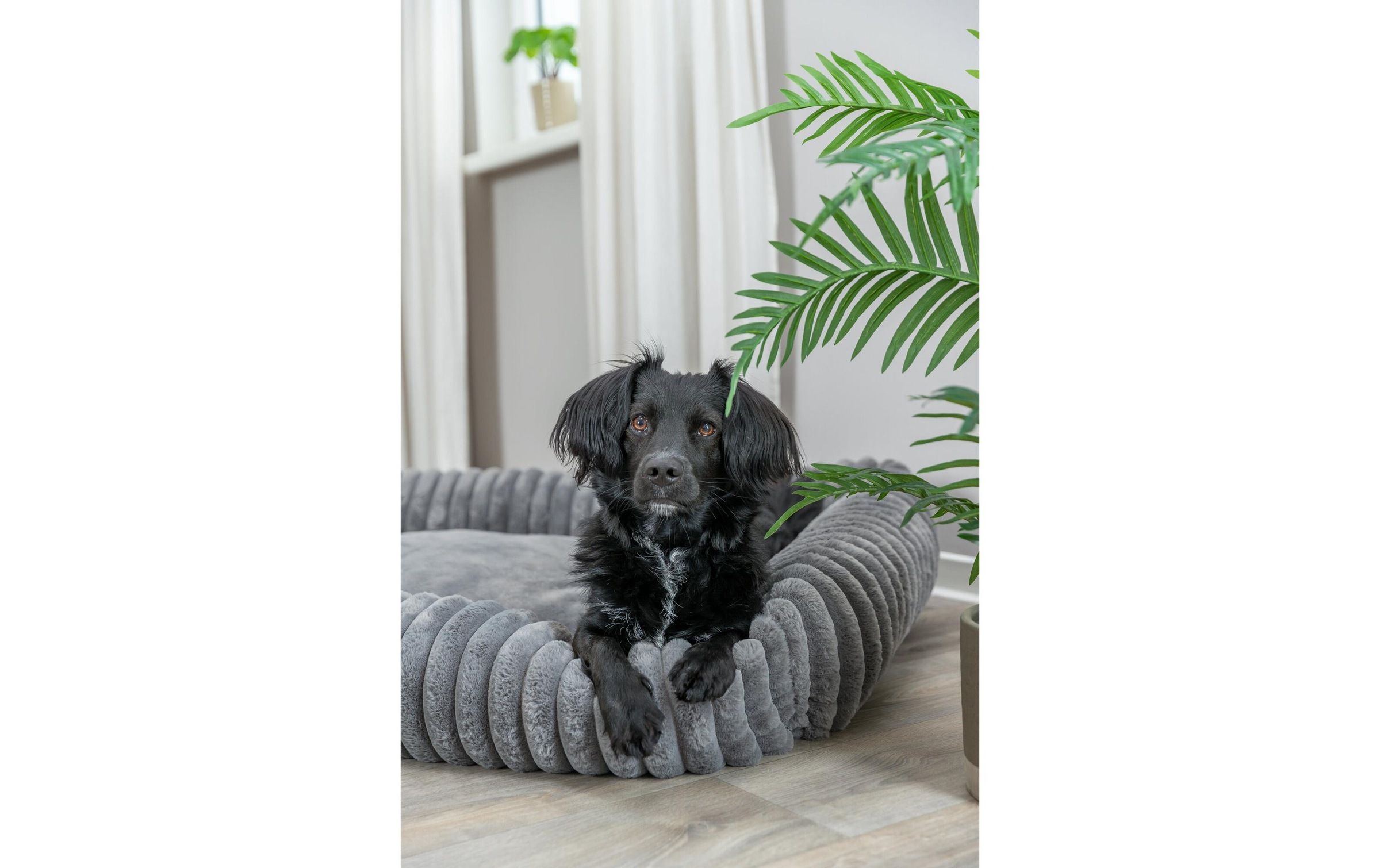 TRIXIE Tierbett »Lonni Grau, 65 cm x 50 cm«