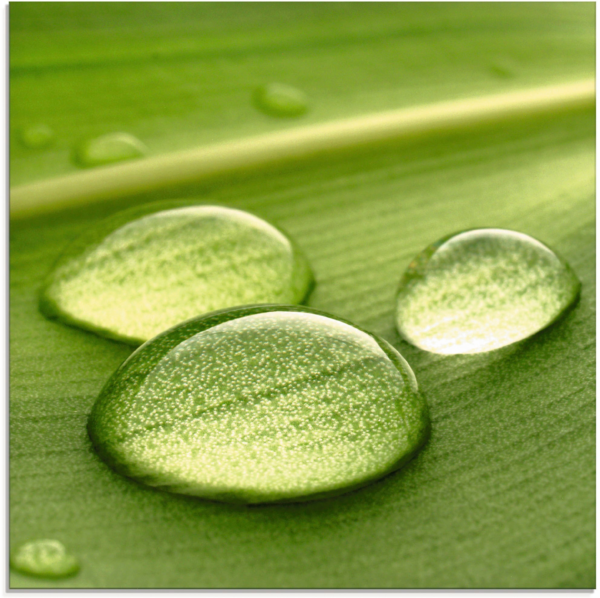 Image of Artland Glasbild »Wassertropfen I«, Zen, (1 St.) bei Ackermann Versand Schweiz