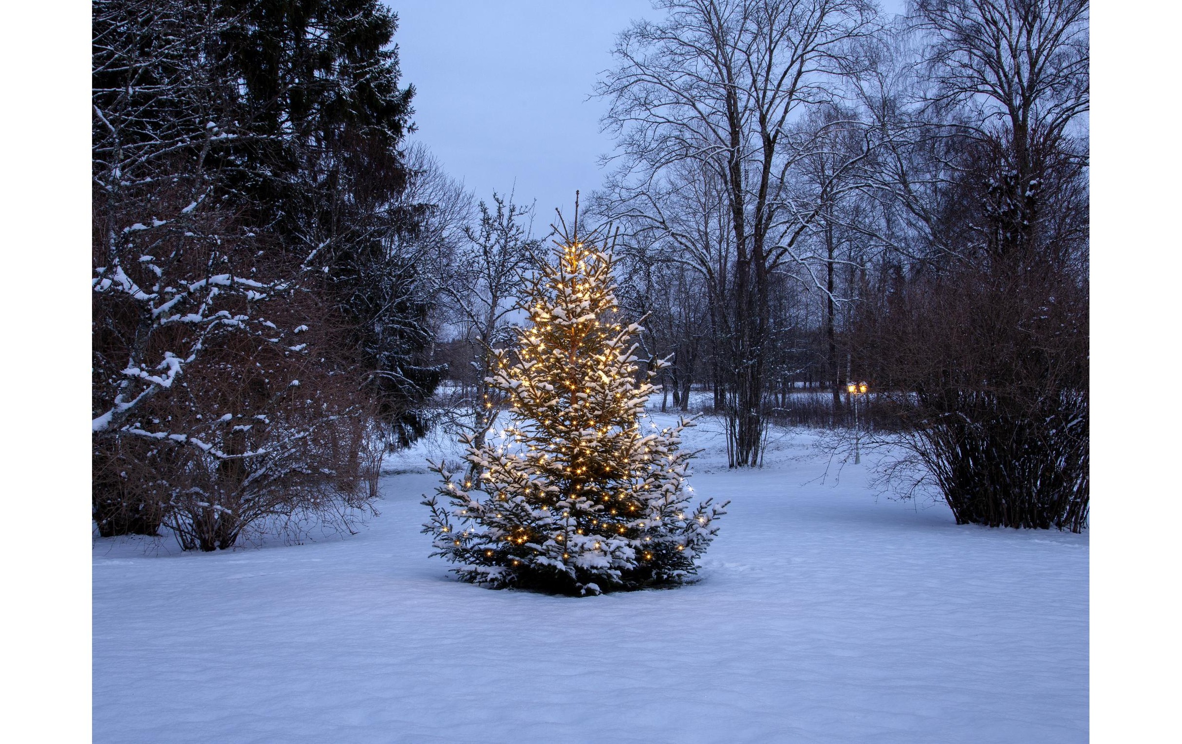   Guirlande lumineuse LED »Christmas Tree Light Shiny IP44, Warmweiss, 360 LED's«