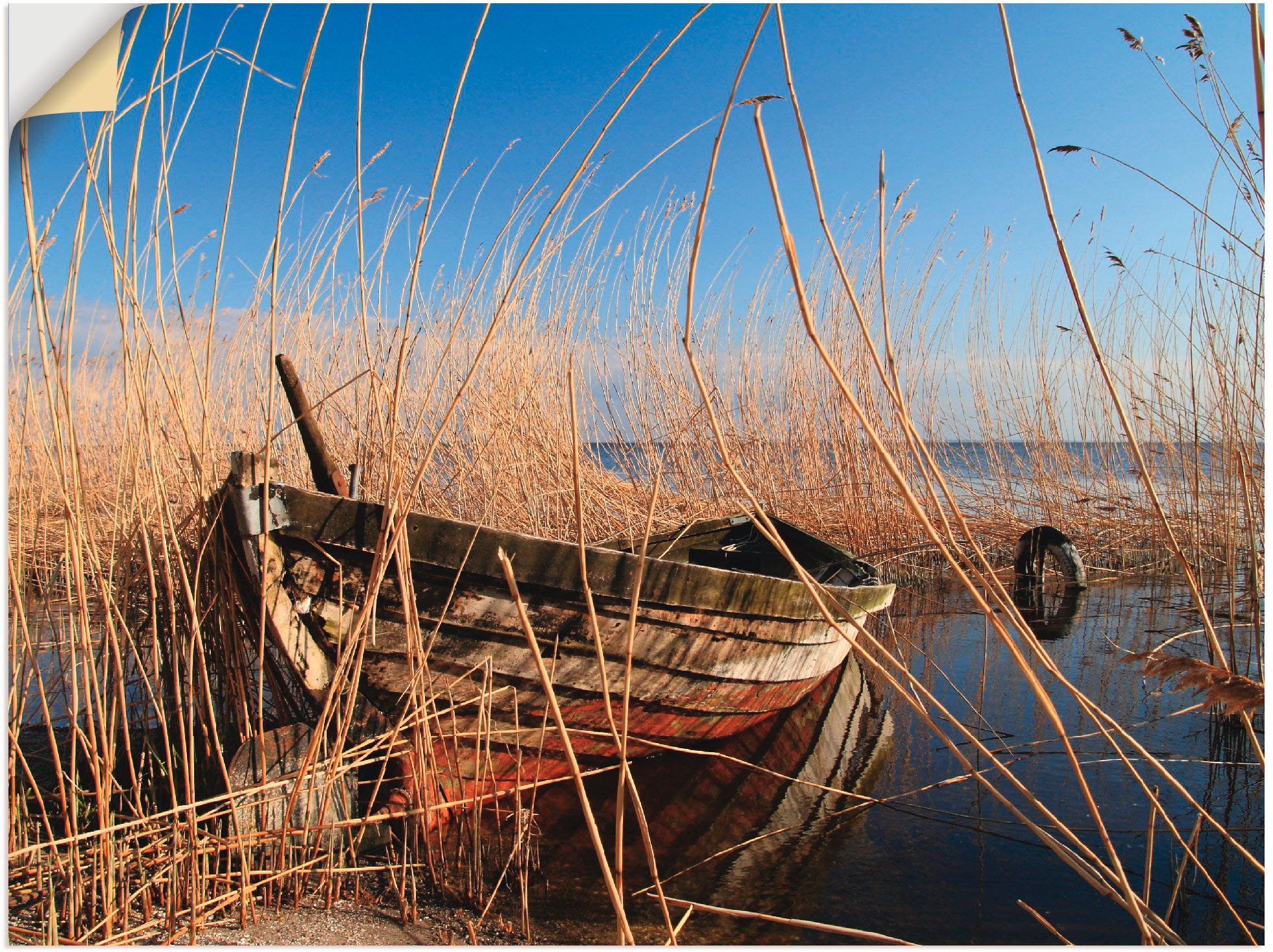 Image of Artland Wandbild »Ein altes Boot im Schilf«, Boote & Schiffe, (1 St.), in vielen Grössen & Produktarten -Leinwandbild, Poster, Wandaufkleber / Wandtattoo auch für Badezimmer geeignet bei Ackermann Versand Schweiz