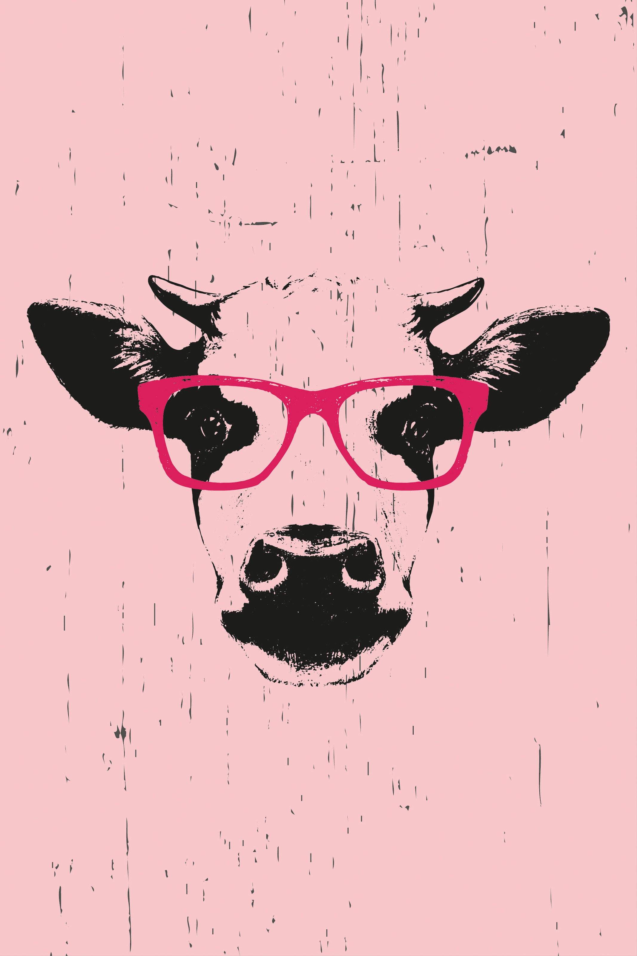 Image of queence Leinwandbild "Kuh mit Brille" Kuh Kuhbilder Premium-Leinwandstoff, Handarbeit aus Deutschland