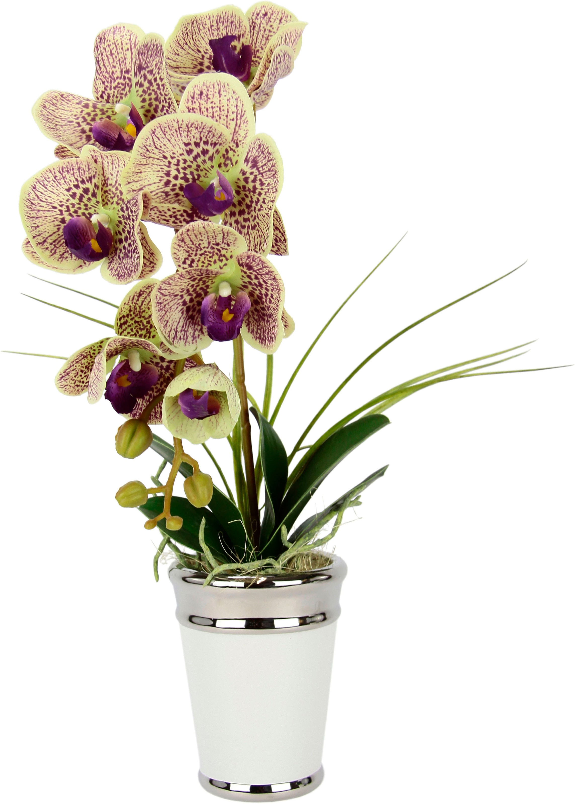 Keramik, »Orchidee«, günstig Seidenblume aus Topf, Real kaufen I.GE.A. im Touch Kunstblume
